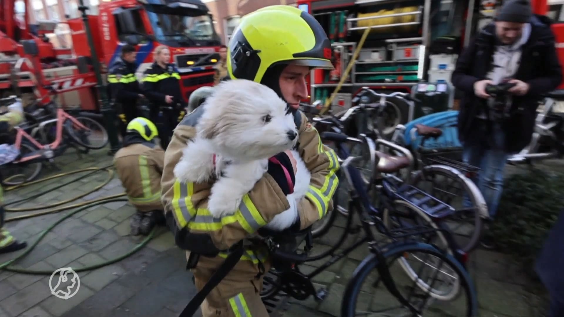 Brandweerhelden redden hondje bij brand in Den Haag
