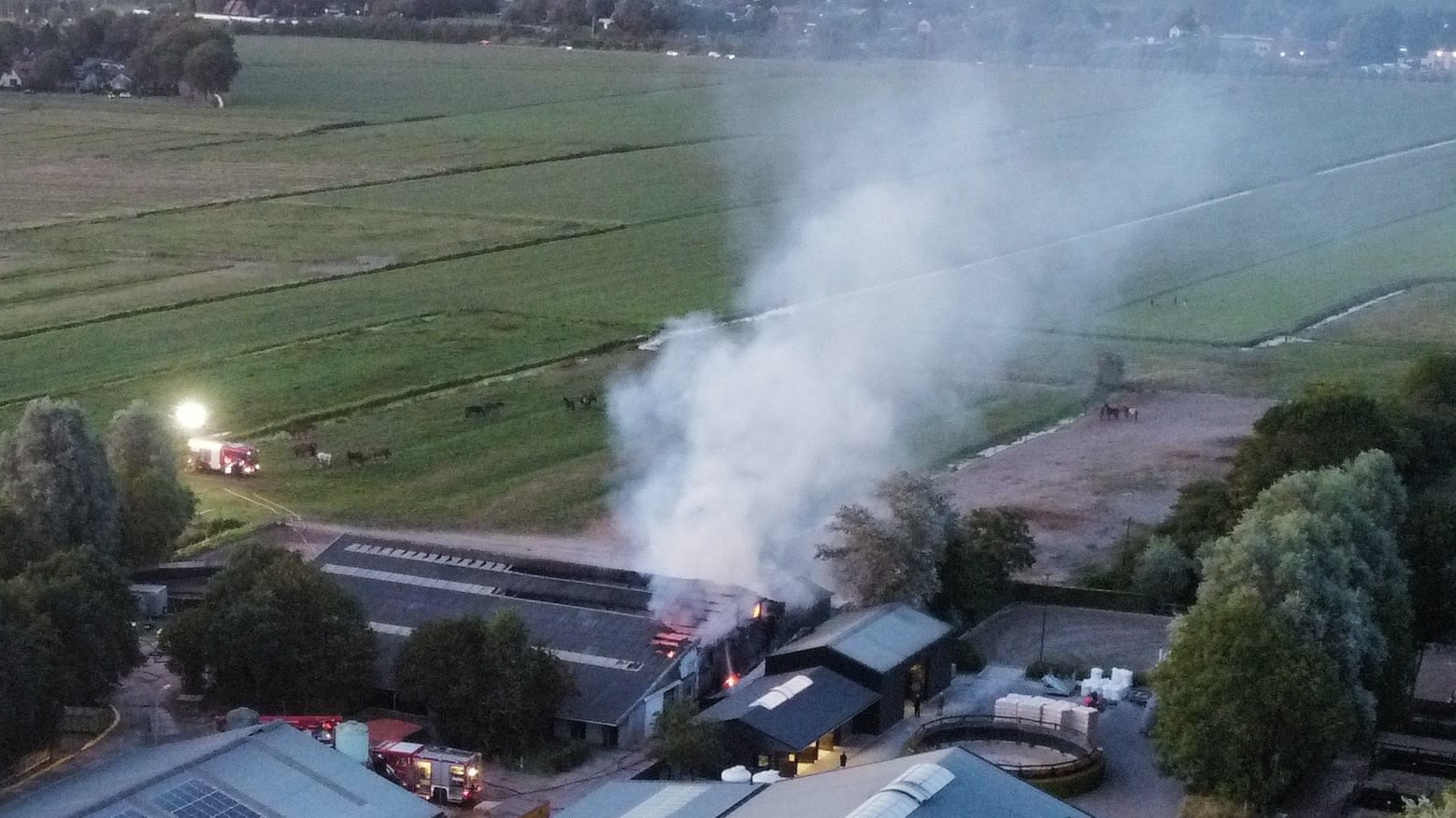 Grote brand legt hal manege in de as, meerdere paarden gewond