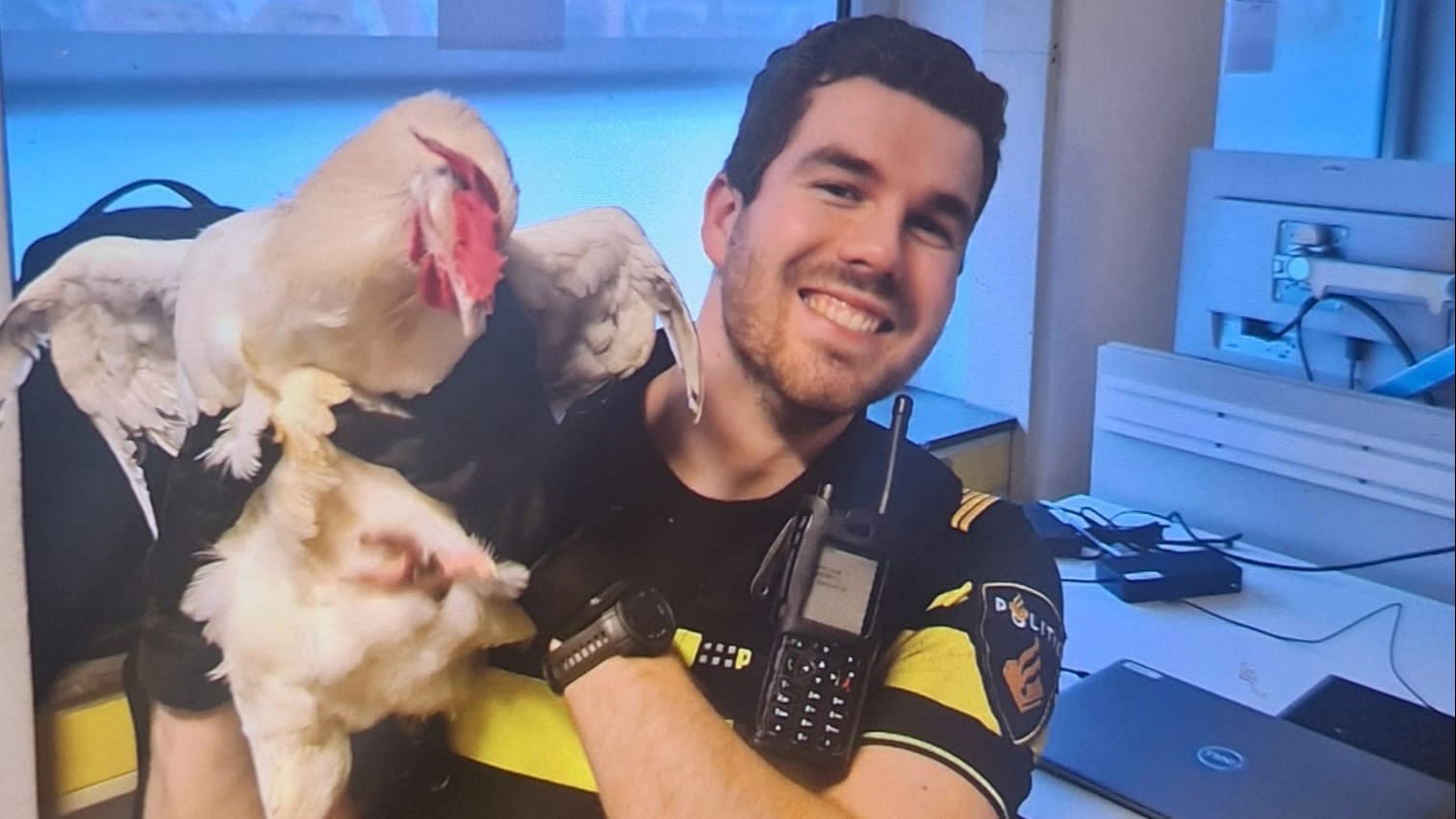 Dierenorganisaties boos om niet ophalen gedumpte haan uit hotel Rotterdam