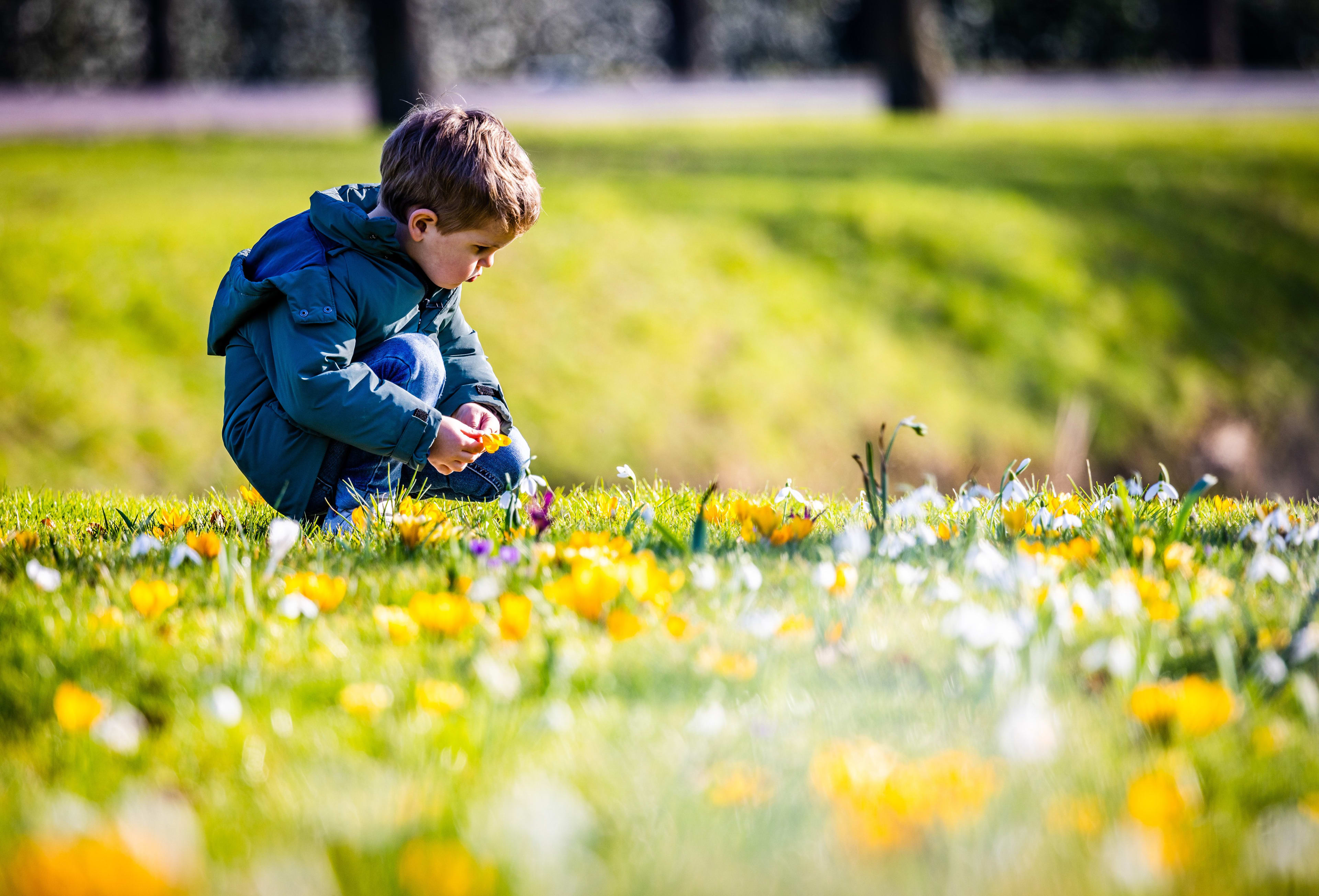 Dit weekend op en top lente: veel zon en zachte temperaturen