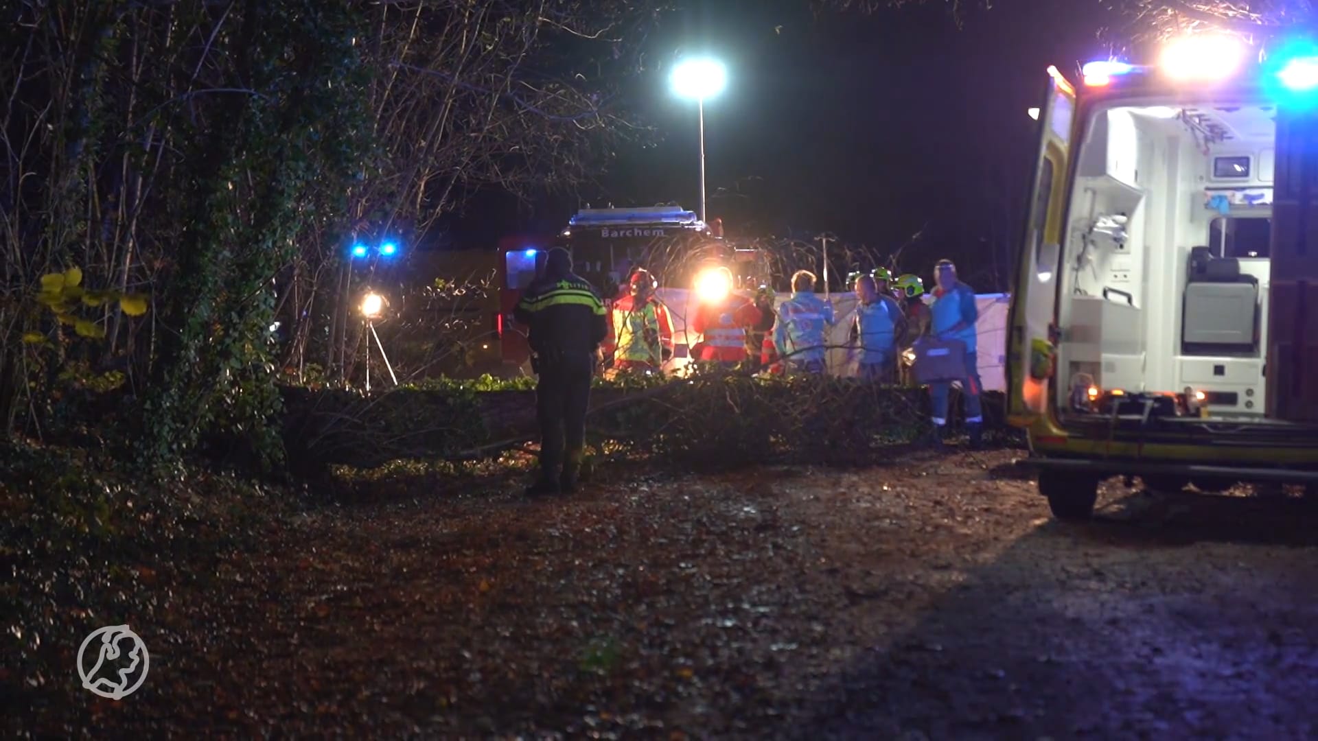 Fietser in Lochem overleden door omgevallen boom door zware storm Conall