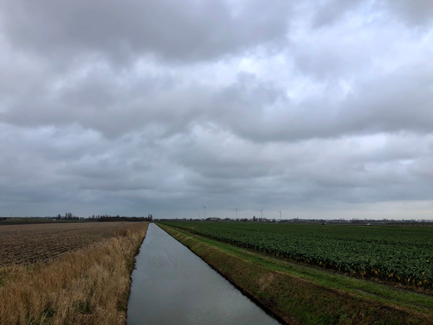 Astronomische winter van start, maar van écht winterweer is (nog) geen sprake