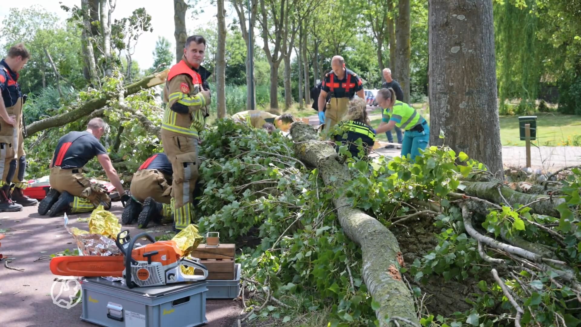 Boom valt op vrouw in Breda, 'hulpverlening bemoeilijkt door harde wind'