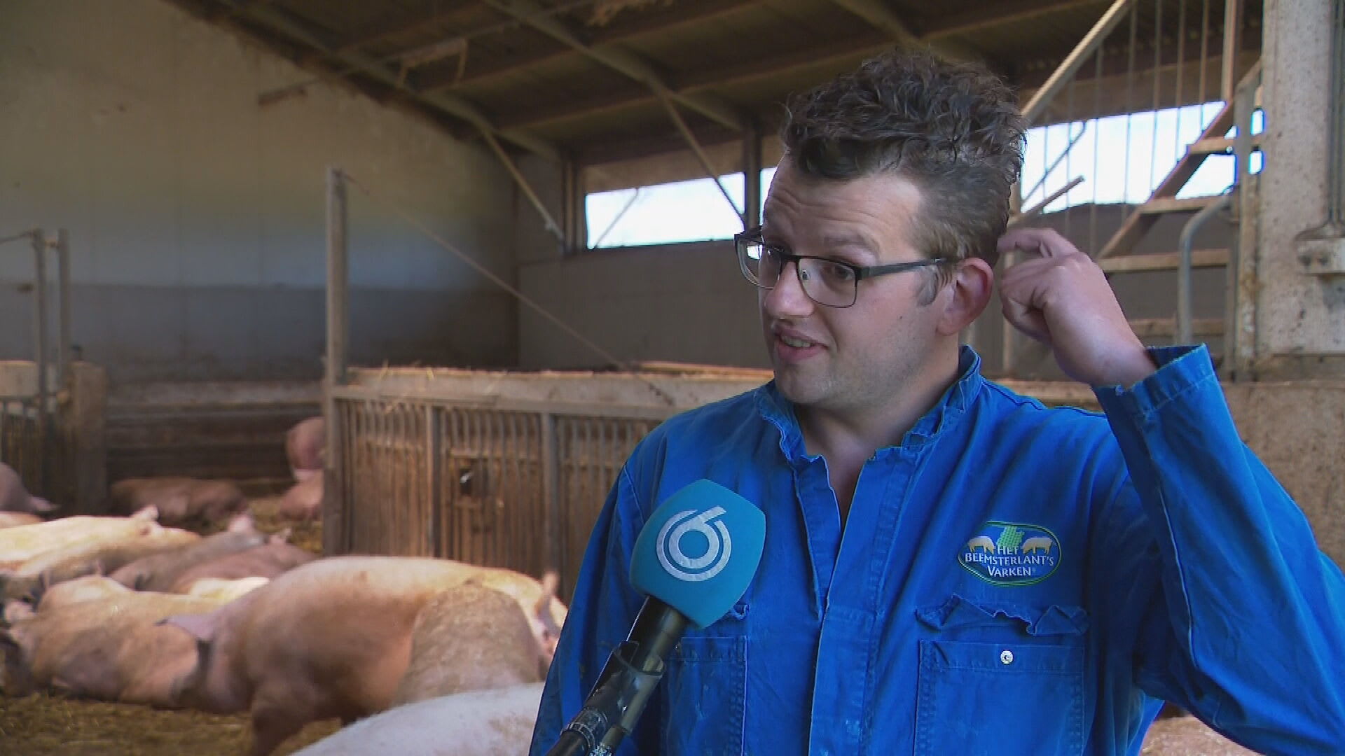 Grote zorgen en veel onzekerheid om nieuwe wet: kun je straks nog wel dieren houden?