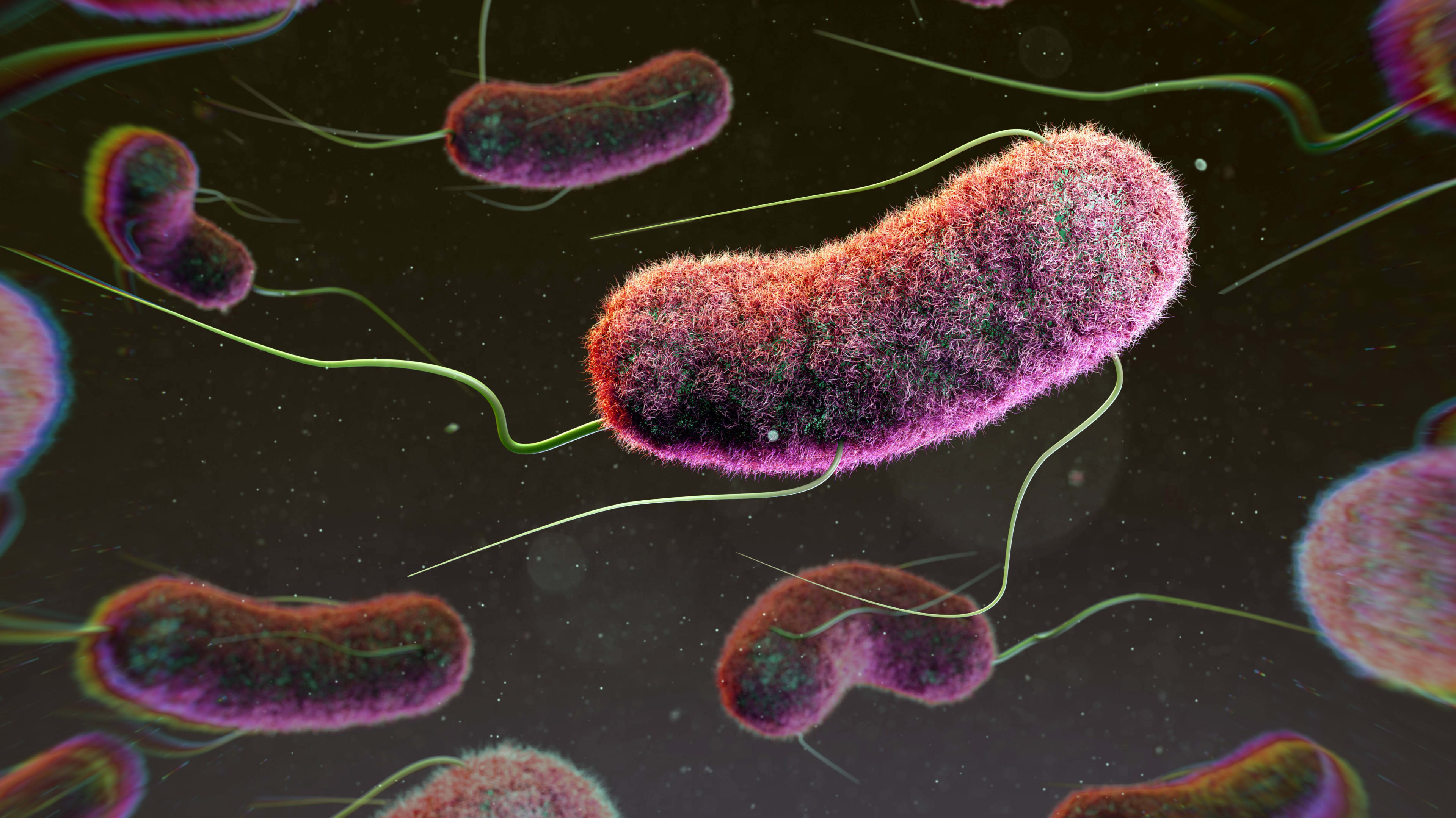 Poepbacterie in Drents drinkwater: kookadvies van kracht