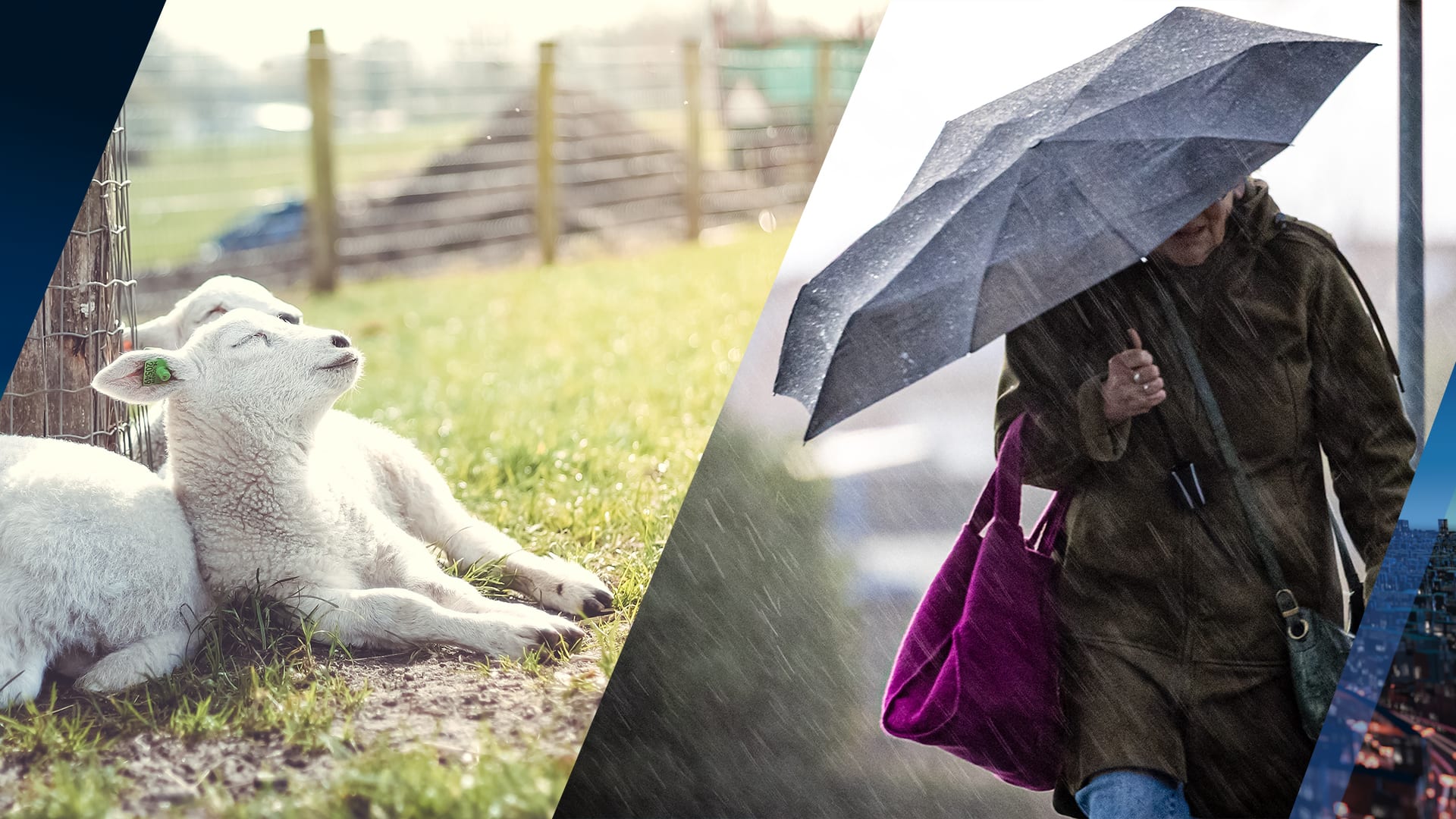 Flinke plens- en onweersbuien maar ook zonnig weer verwacht op Pinksteren