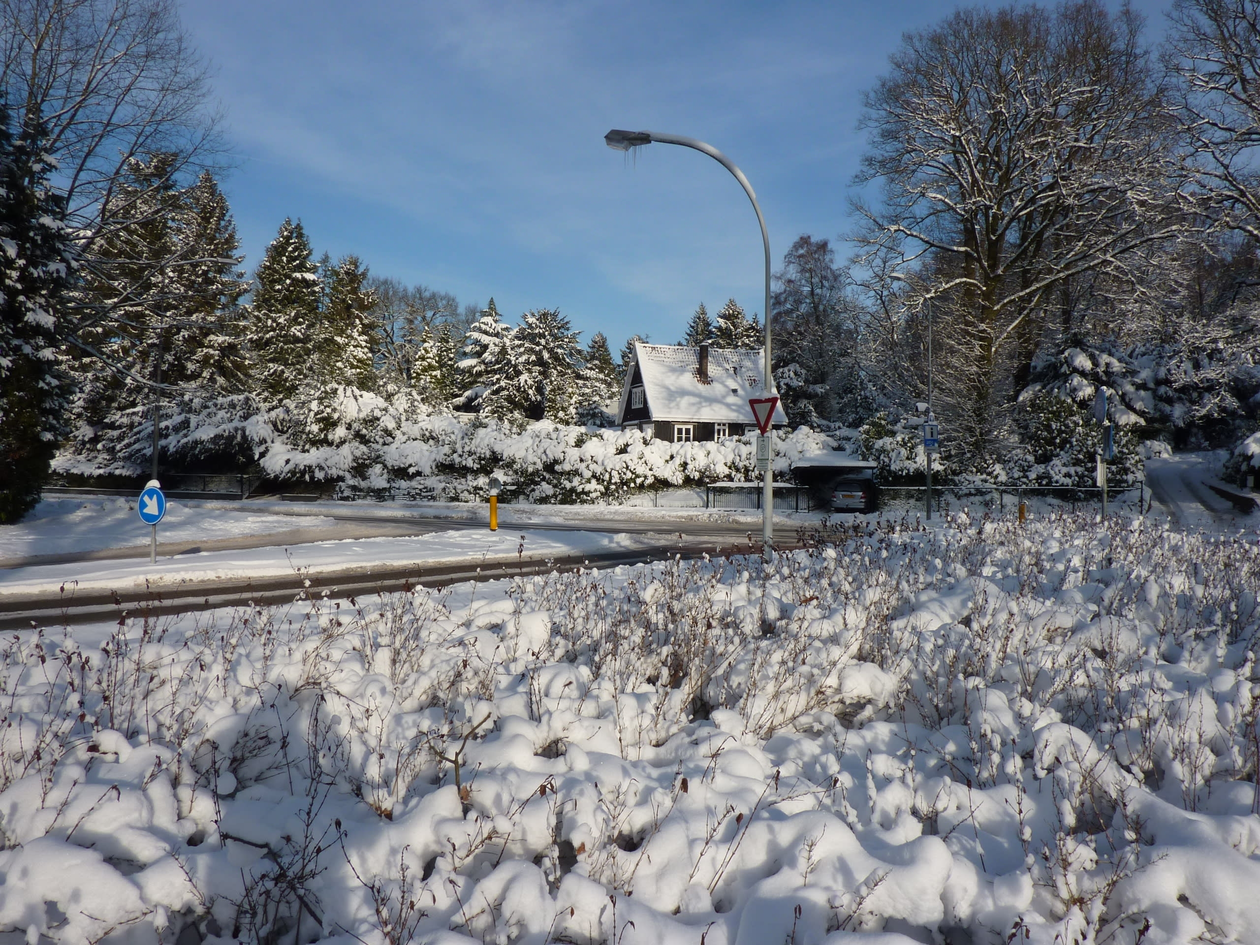 Alwéér geen witte kerst in Nederland, waarom moeten we er zolang op wachten?