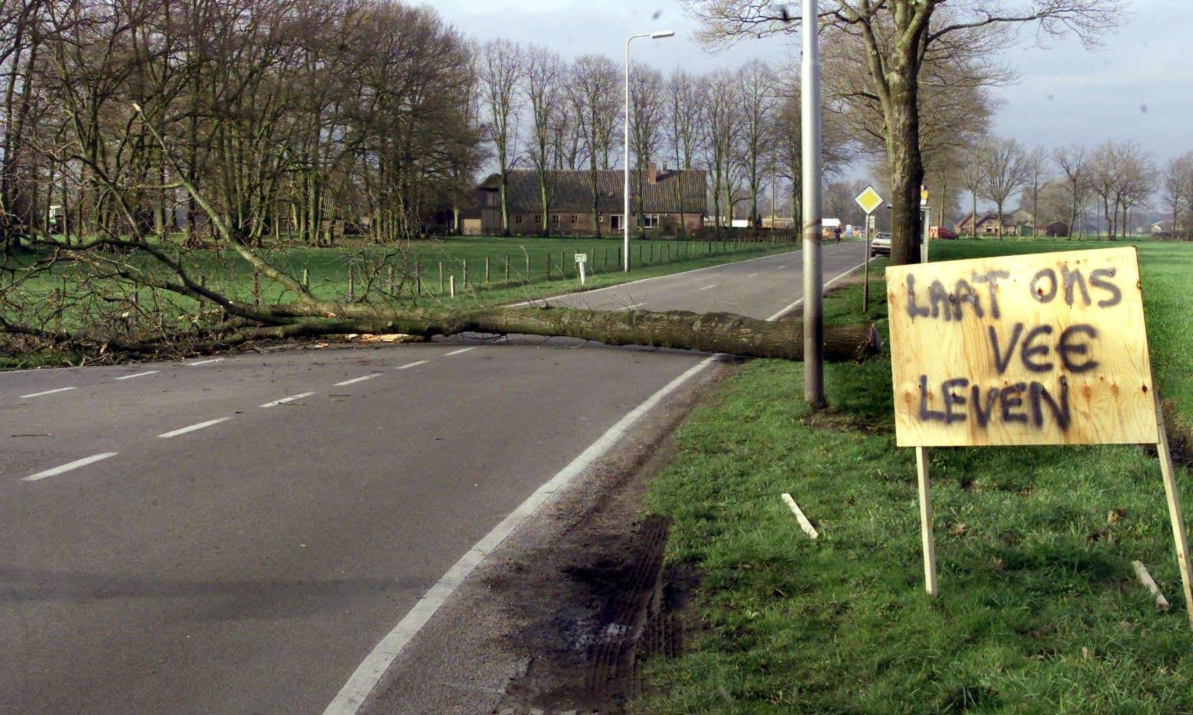 Rechter oordeelt dinsdag: zijn tienduizenden dieren terecht geruimd tijdens de mkz-crisis?
