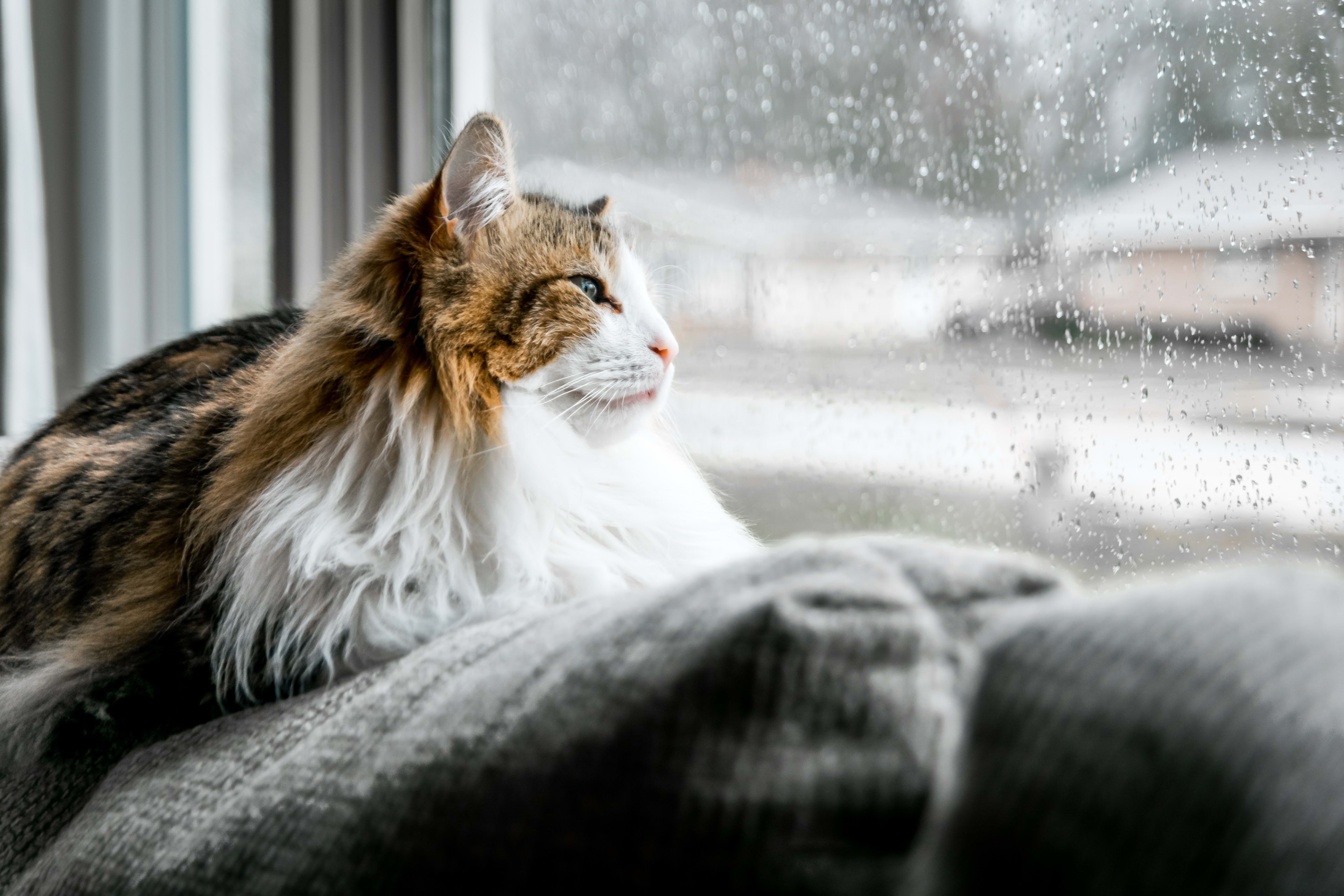 Dit jaar misschien tóch nog een witte kerst, maar niet overal