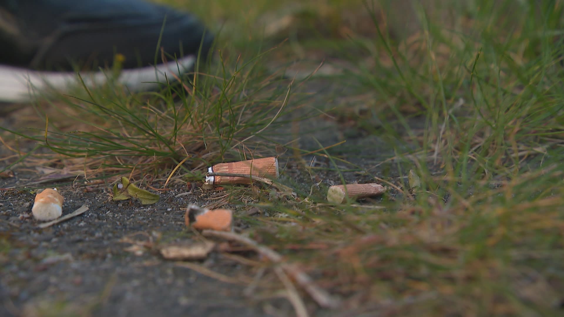 Record: bijna een miljoen peuken geraapt van de straat 