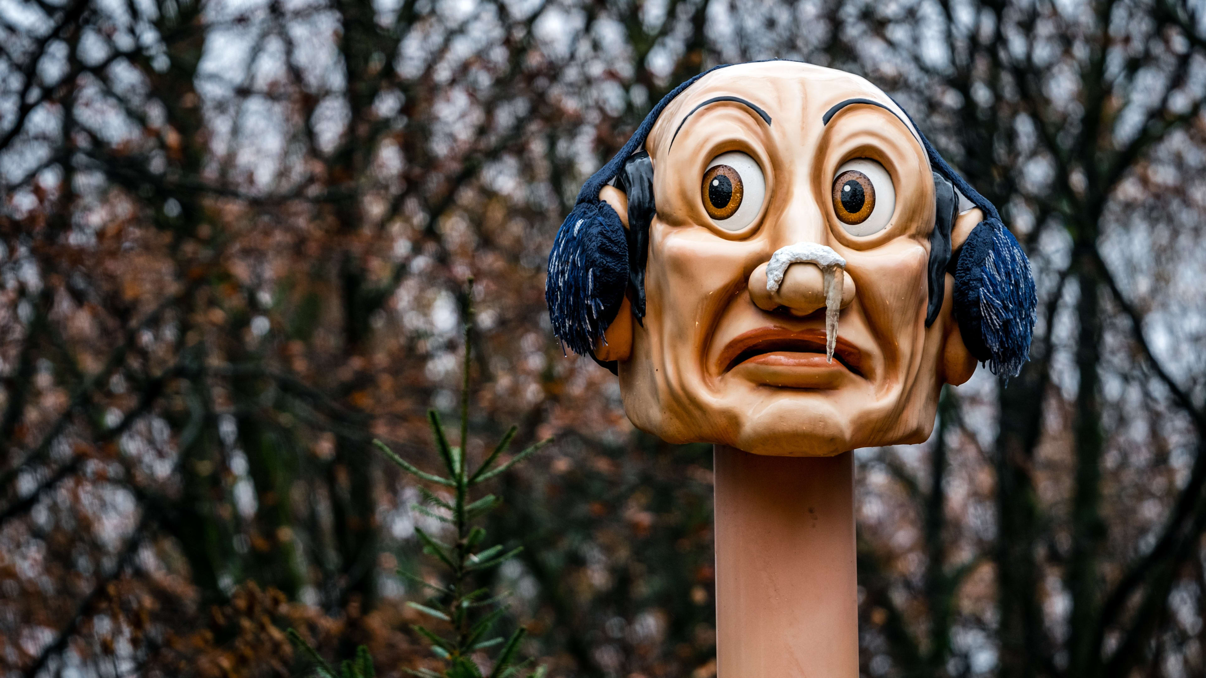 Juf ontslagen na stiekem bezoek aan Efteling met 15 leerlingen speciaal onderwijs