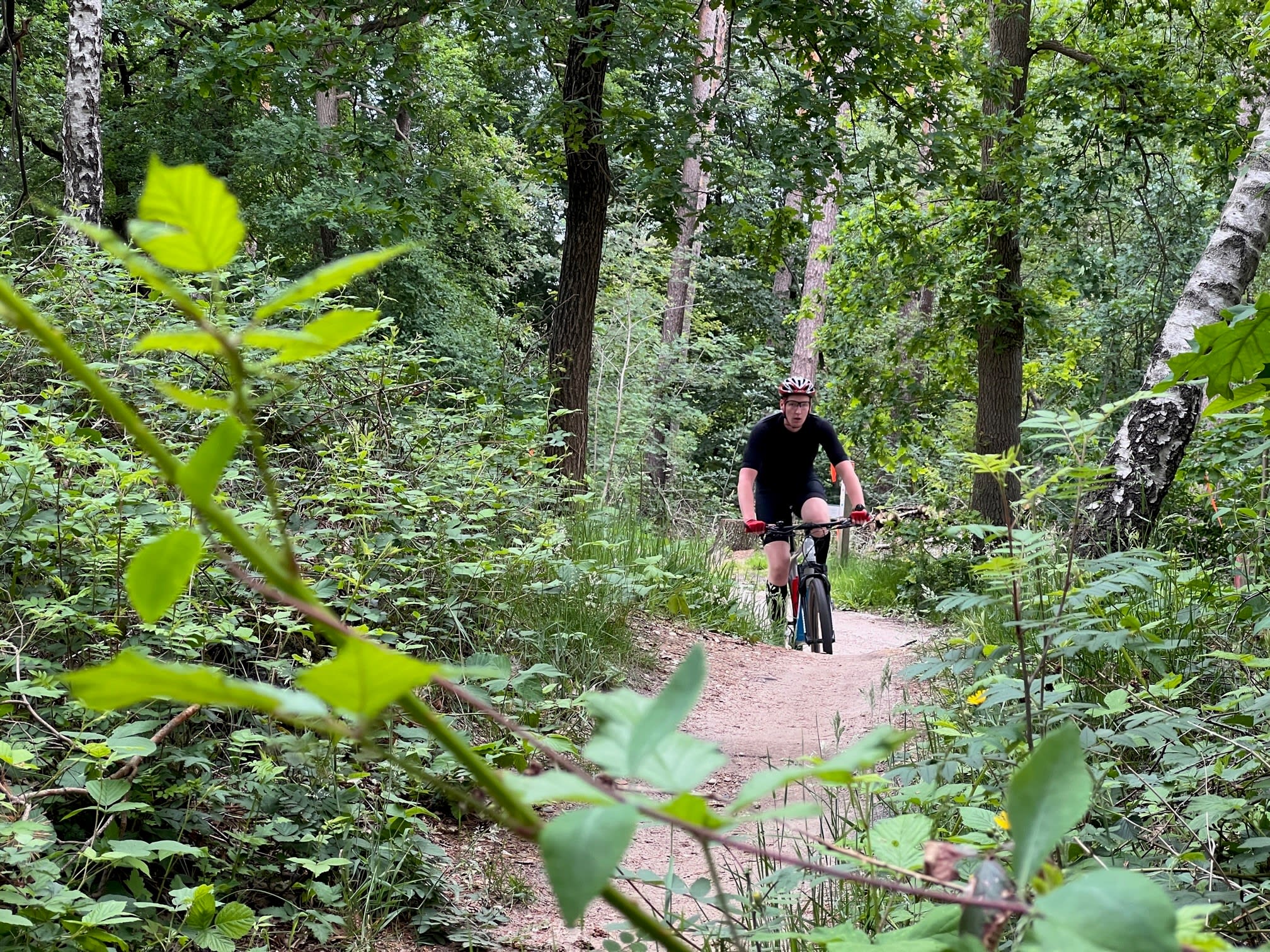 Hagedissen zetten streep door mountainbikeritjes op Sallandse Heuvelrug: 'Dit is een hetze!'