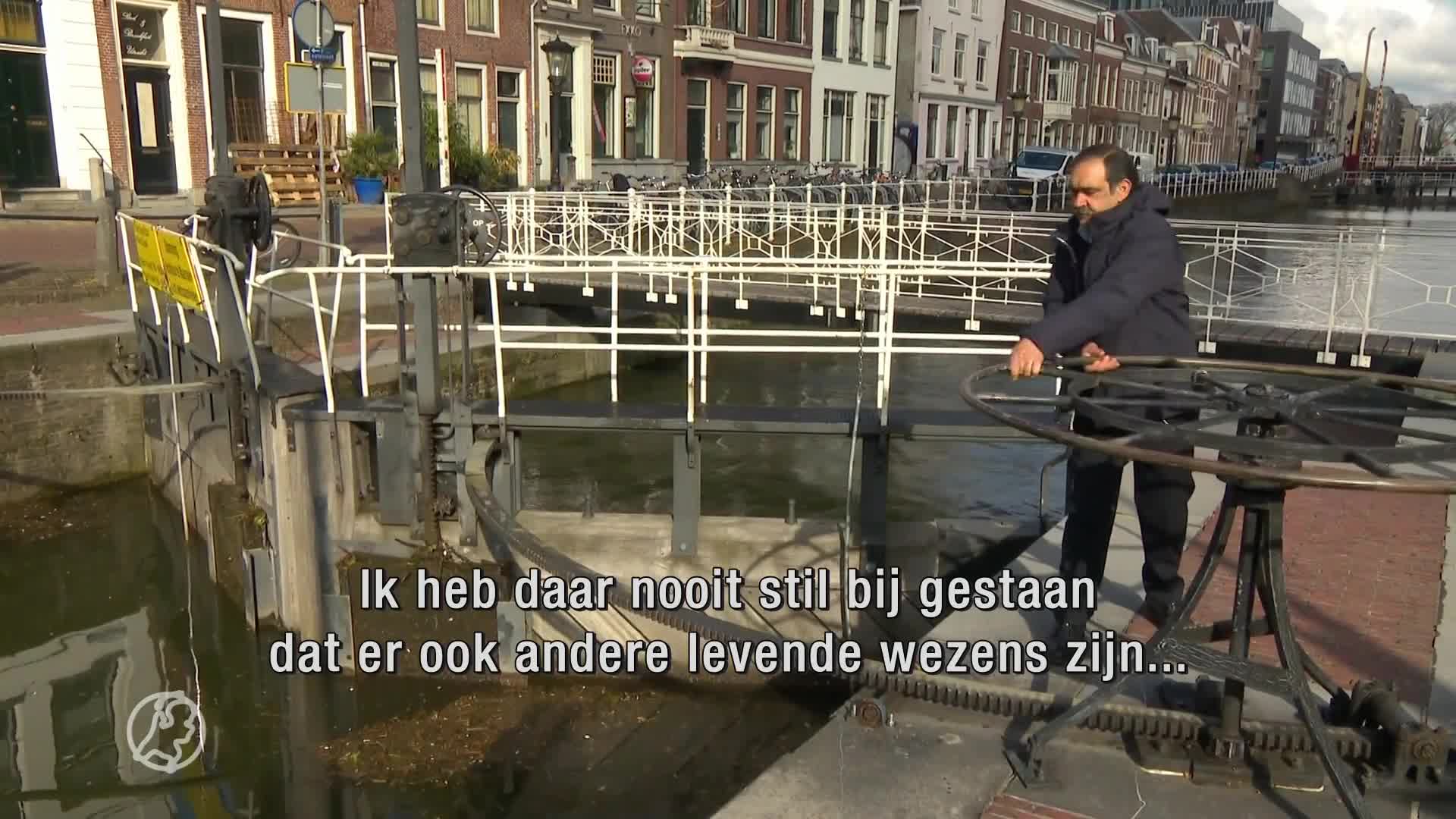 Visdeurbel in Utrecht wekt interesse vanuit de hele wereld, a...