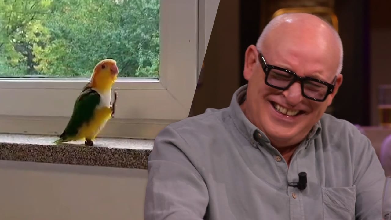 Wilfred en René gaan helemaal stuk om ‘papegaai van Prins Bernhard’: ‘Zó slecht dit!’