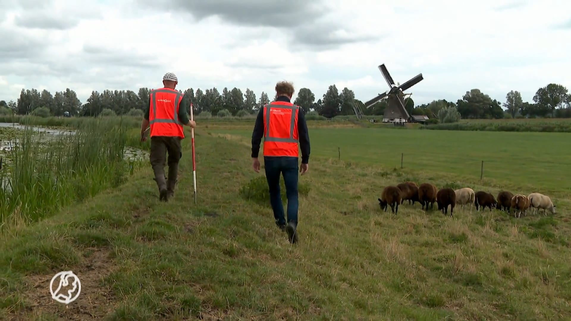 Waterschappen voeren extra dijkinspecties uit vanwege extreme droogte: 'Dan dondert die hele kering in elkaar'