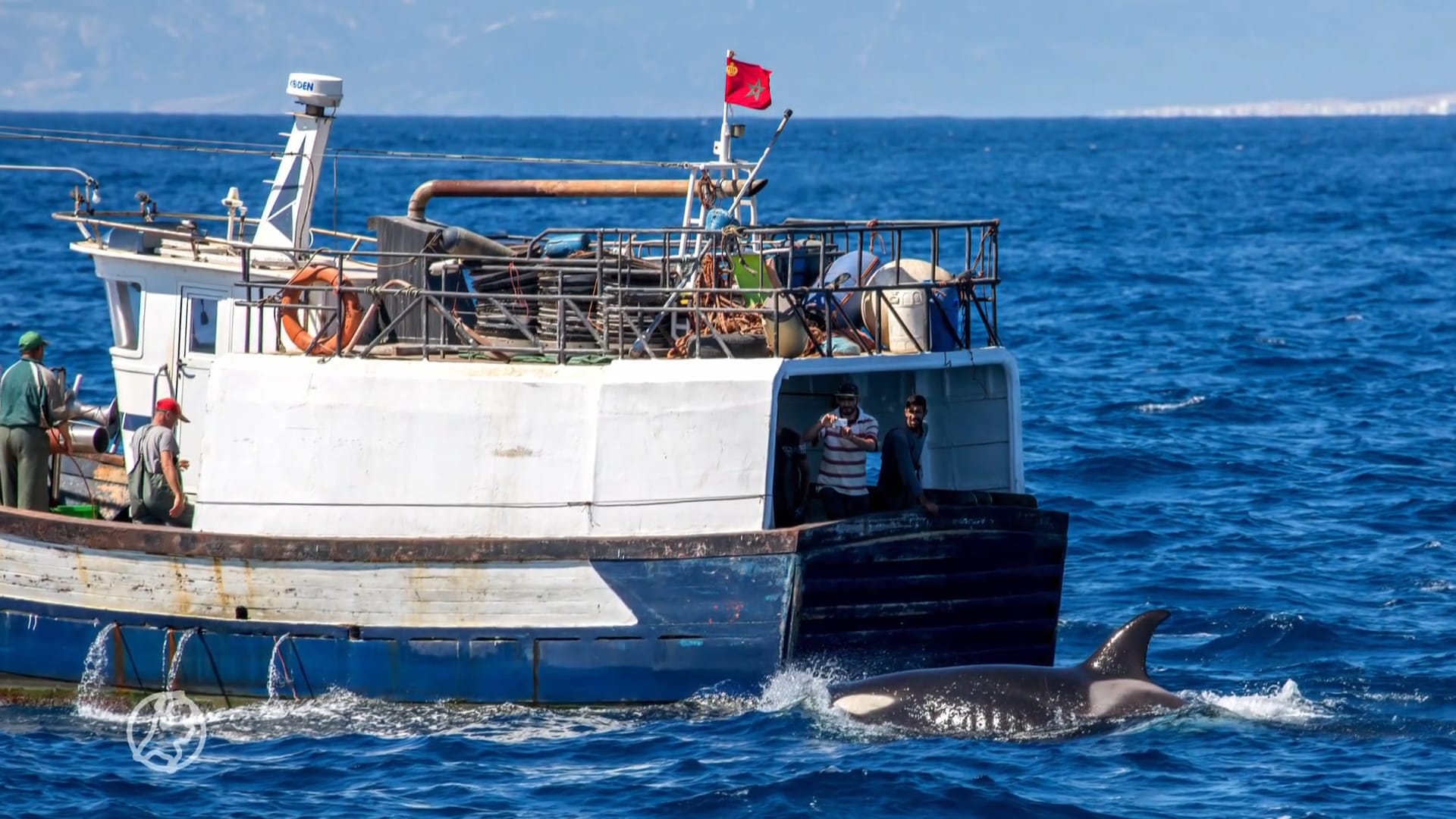 Nederlandse zeilers vrezen orka's aan de Portugese kust