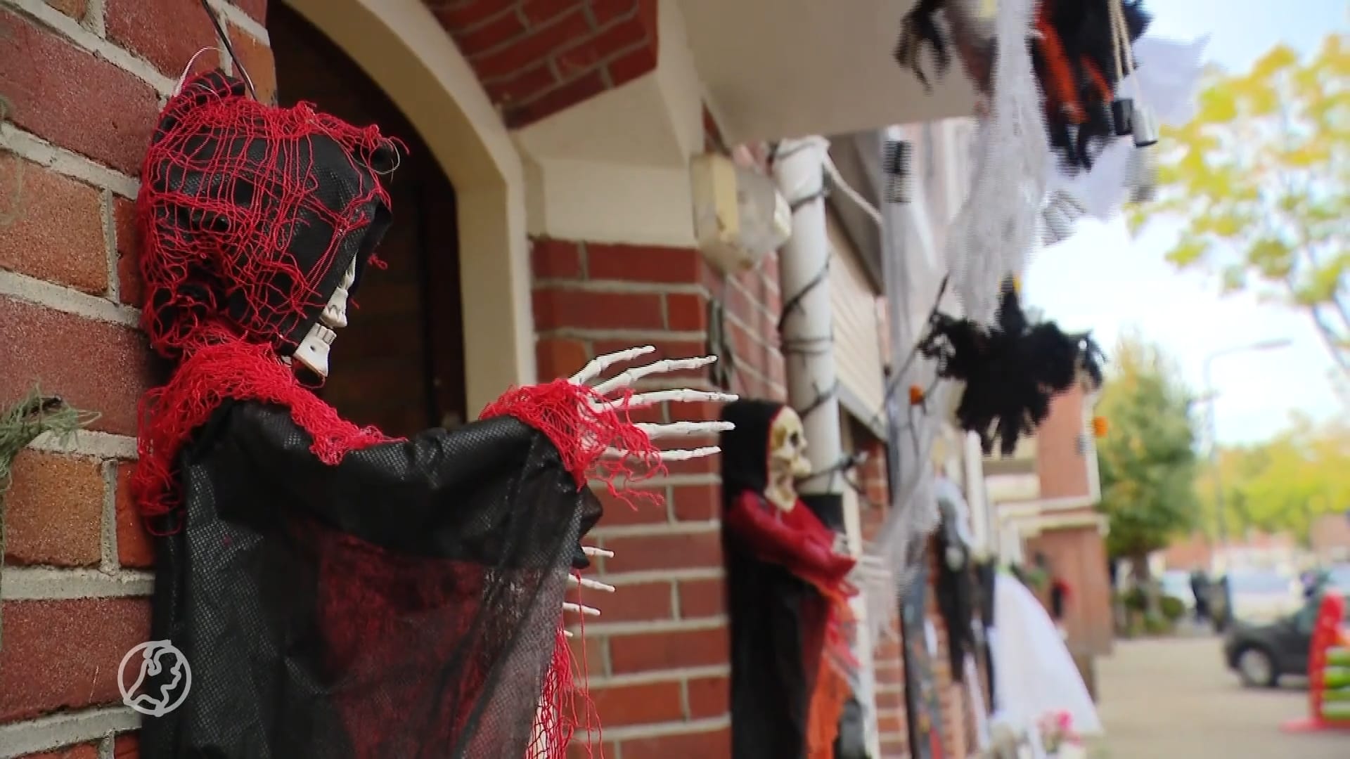 ZIEN: Bredase buurt verandert in horrorstraat rond Halloween