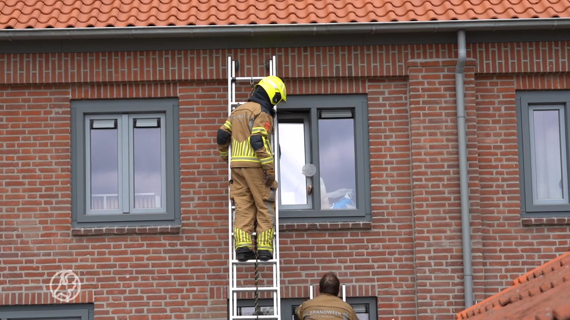 Kat klem tussen kiepraam en overlijdt in Rijen