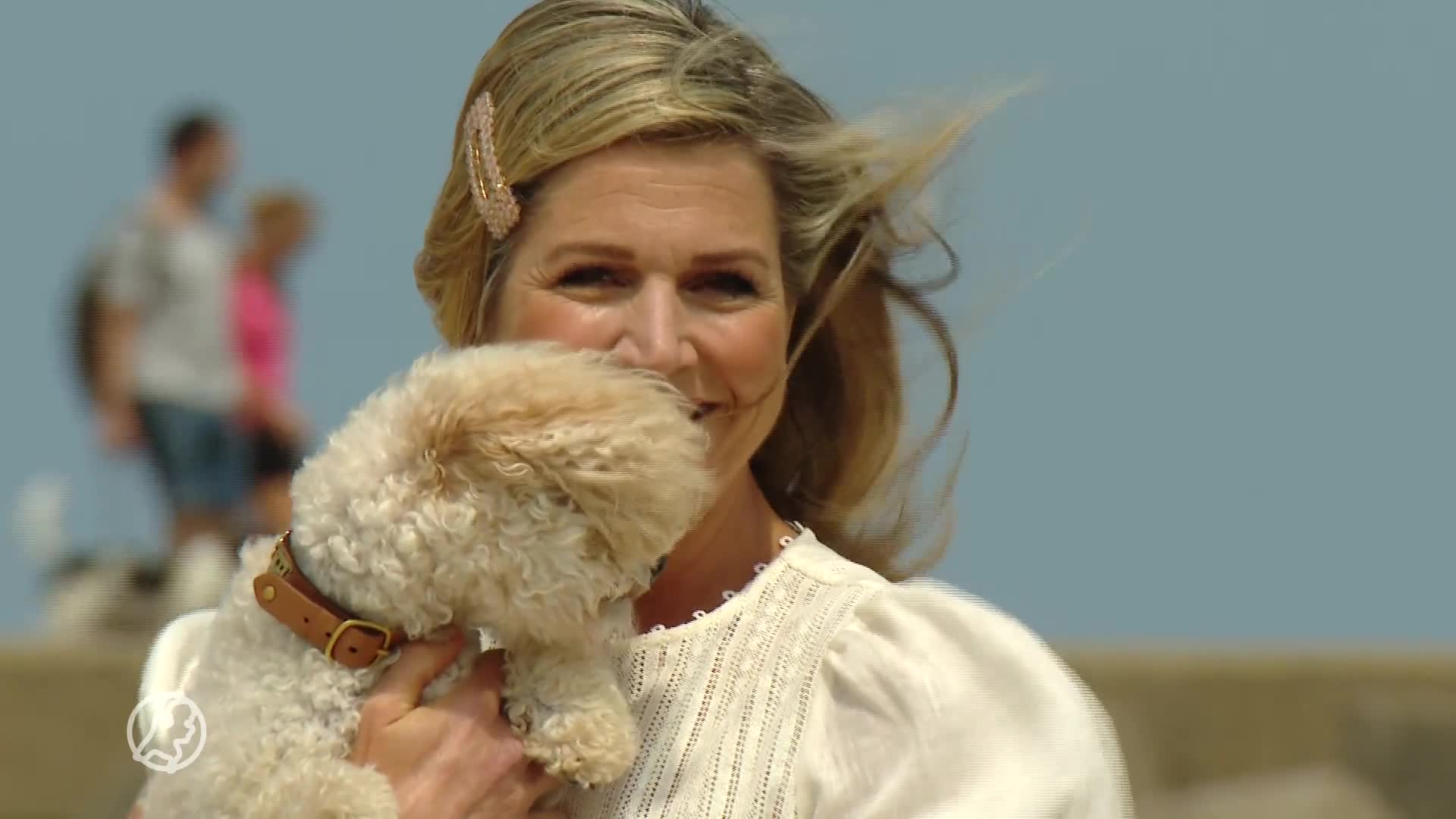 Oranjes poseren op winderig strand voor de camera tijdens zomerfotosessie