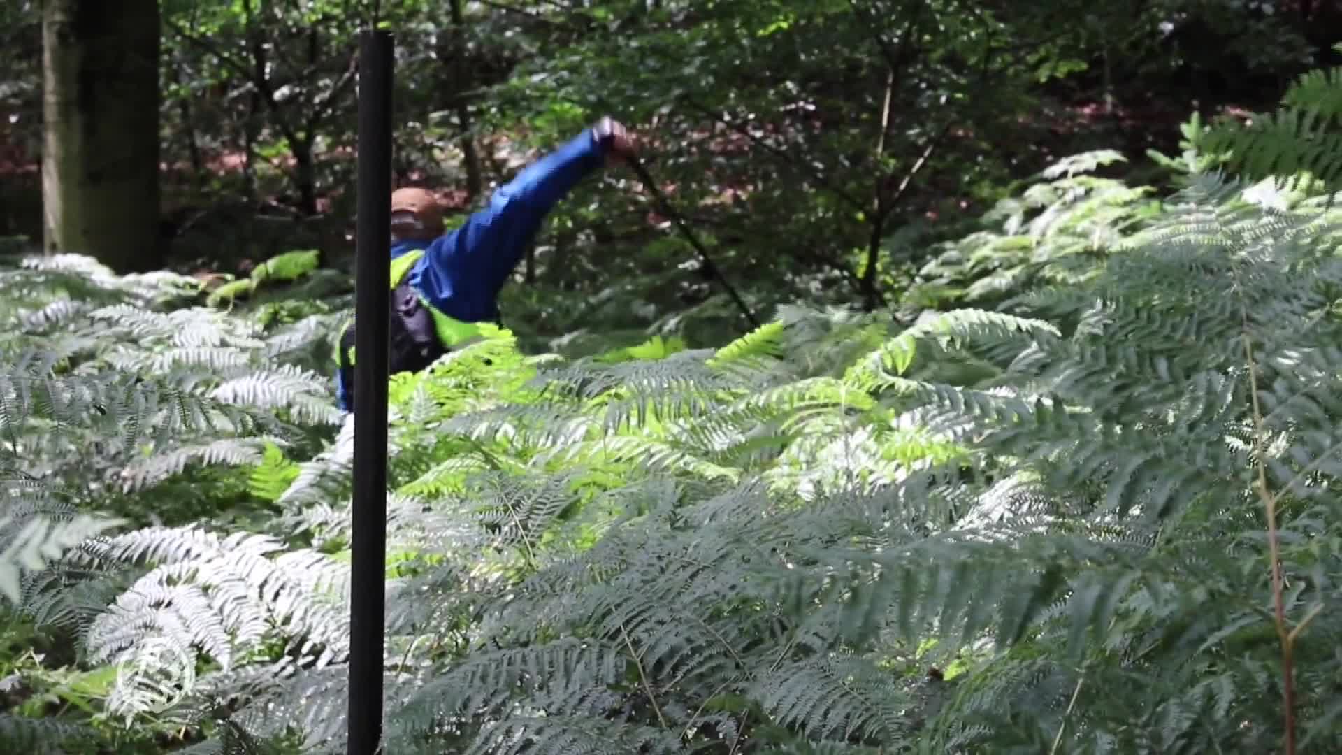 Nog steeds geen spoor van vermiste Maja, Veteranen Search Team zoekt mee