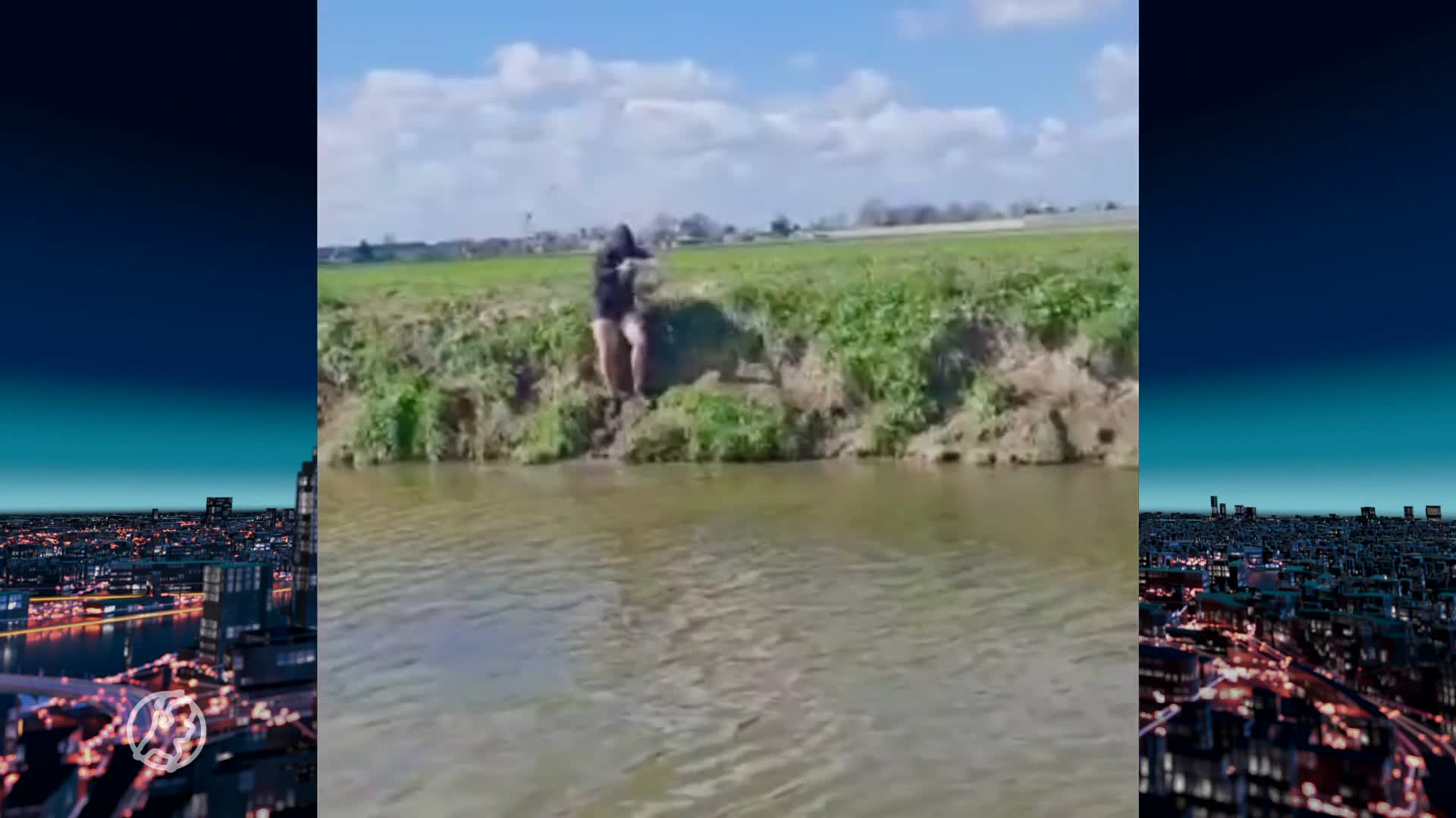 Wesley en Ricardo redden zwaan die vastzit in muskusratval