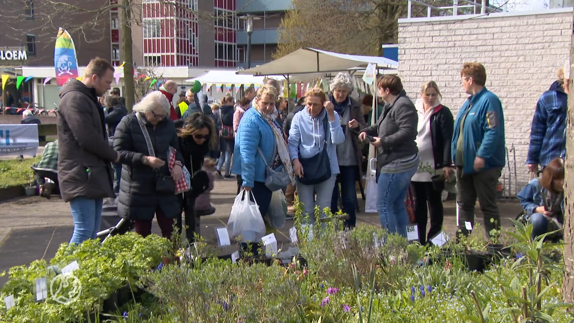 Mooi lenteweer in aantocht: drukte op plantenmarkten en tuincentra