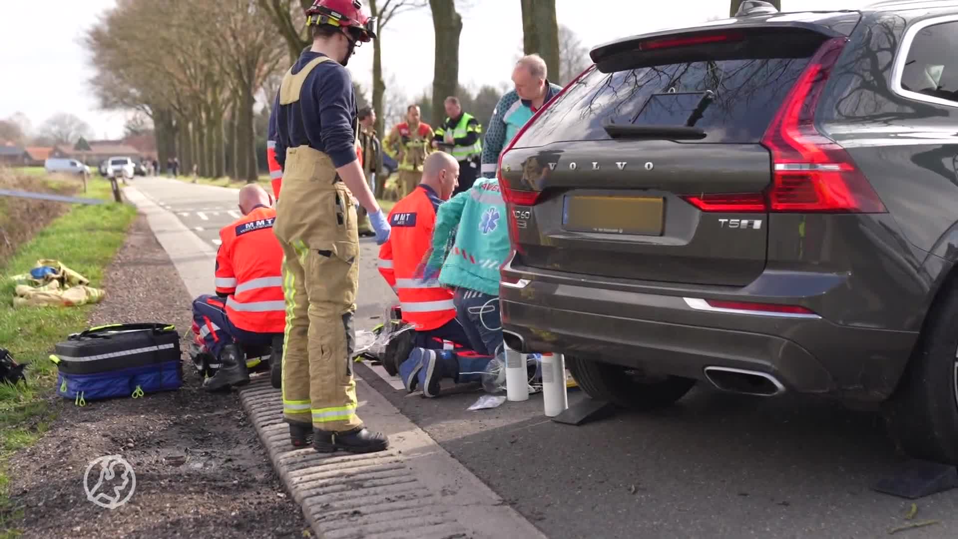 Hond blijft naast overleden baasje zitten na botsing met boom