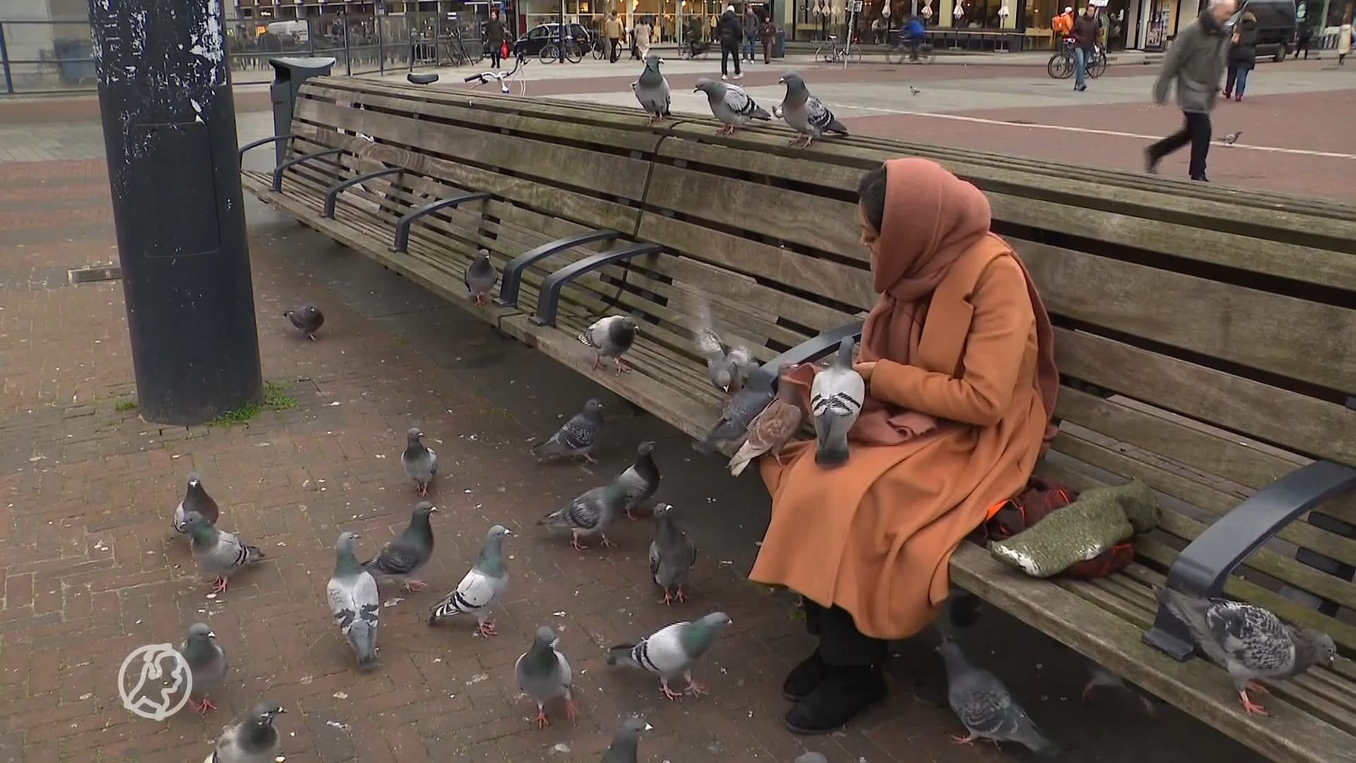 Duivenvrouwtje Aash ontfermt zich over vogels met verminkte pootje