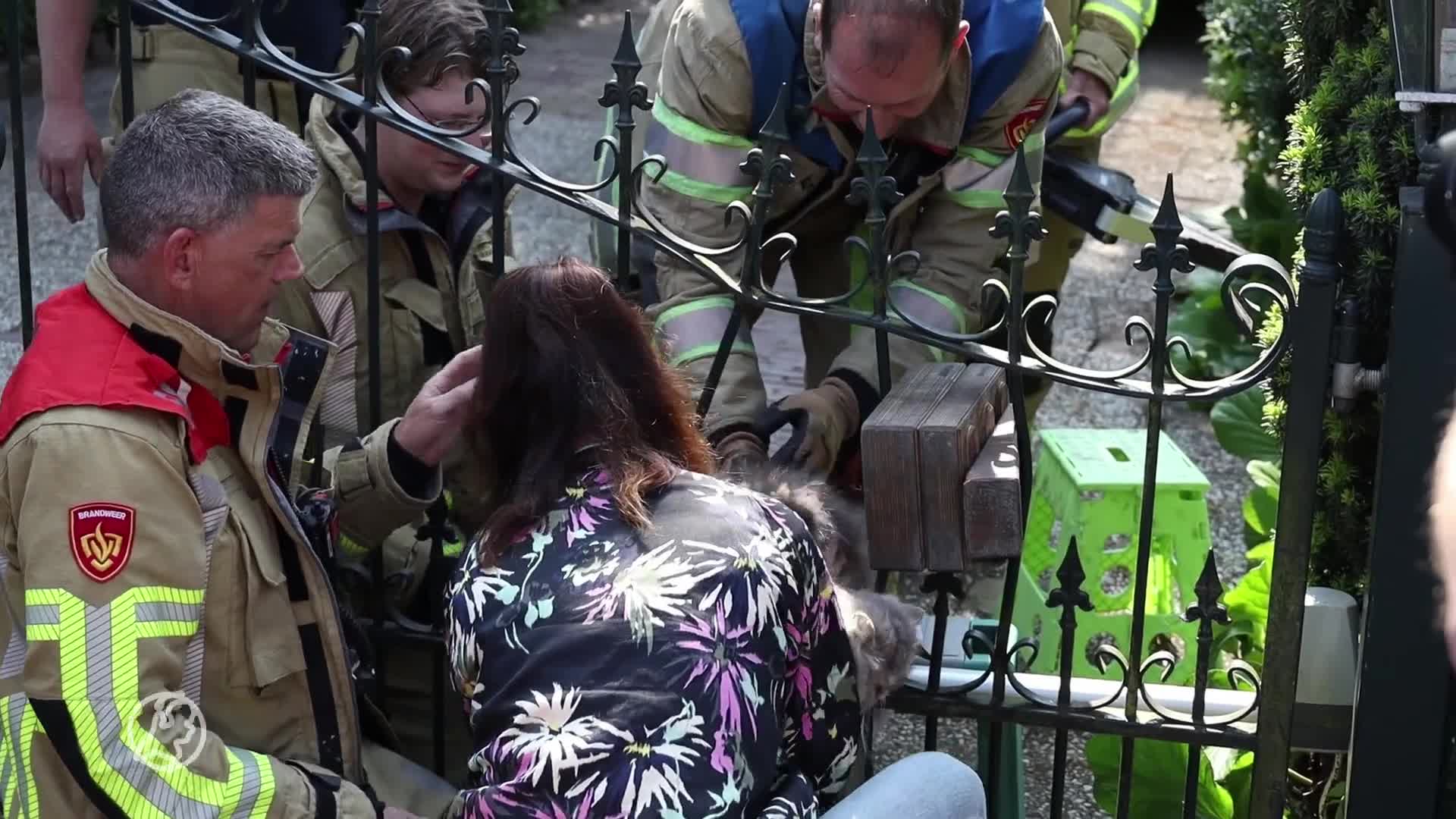 Brandweer redt beklemde kater (Holle Bolle) Gijs uit sierhek in Laren