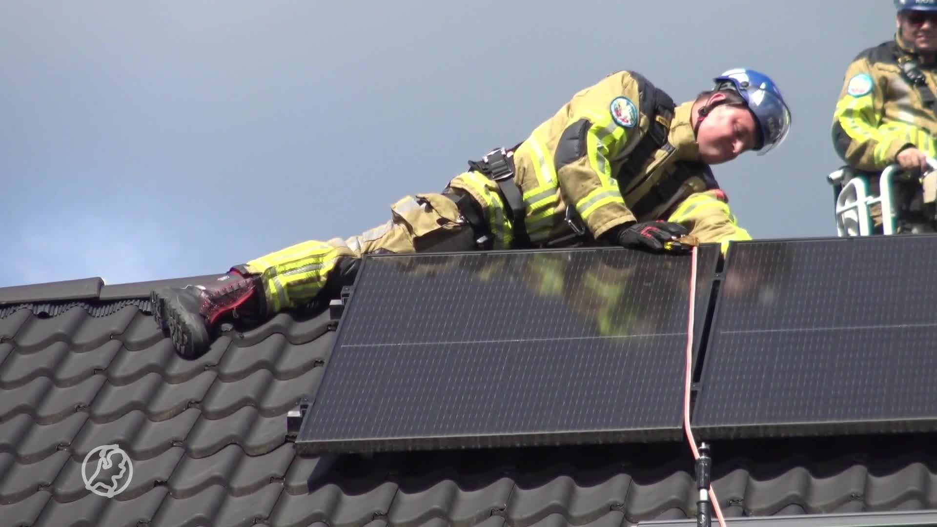 Brandweer redt kitten die vastzit tussen zonnepanelen op dak in Hengelo