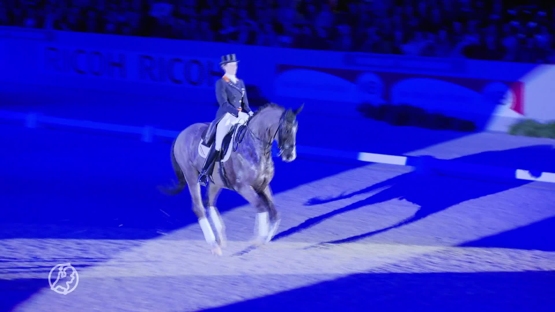 Van Grunsvens olympische paard Salinero overleden