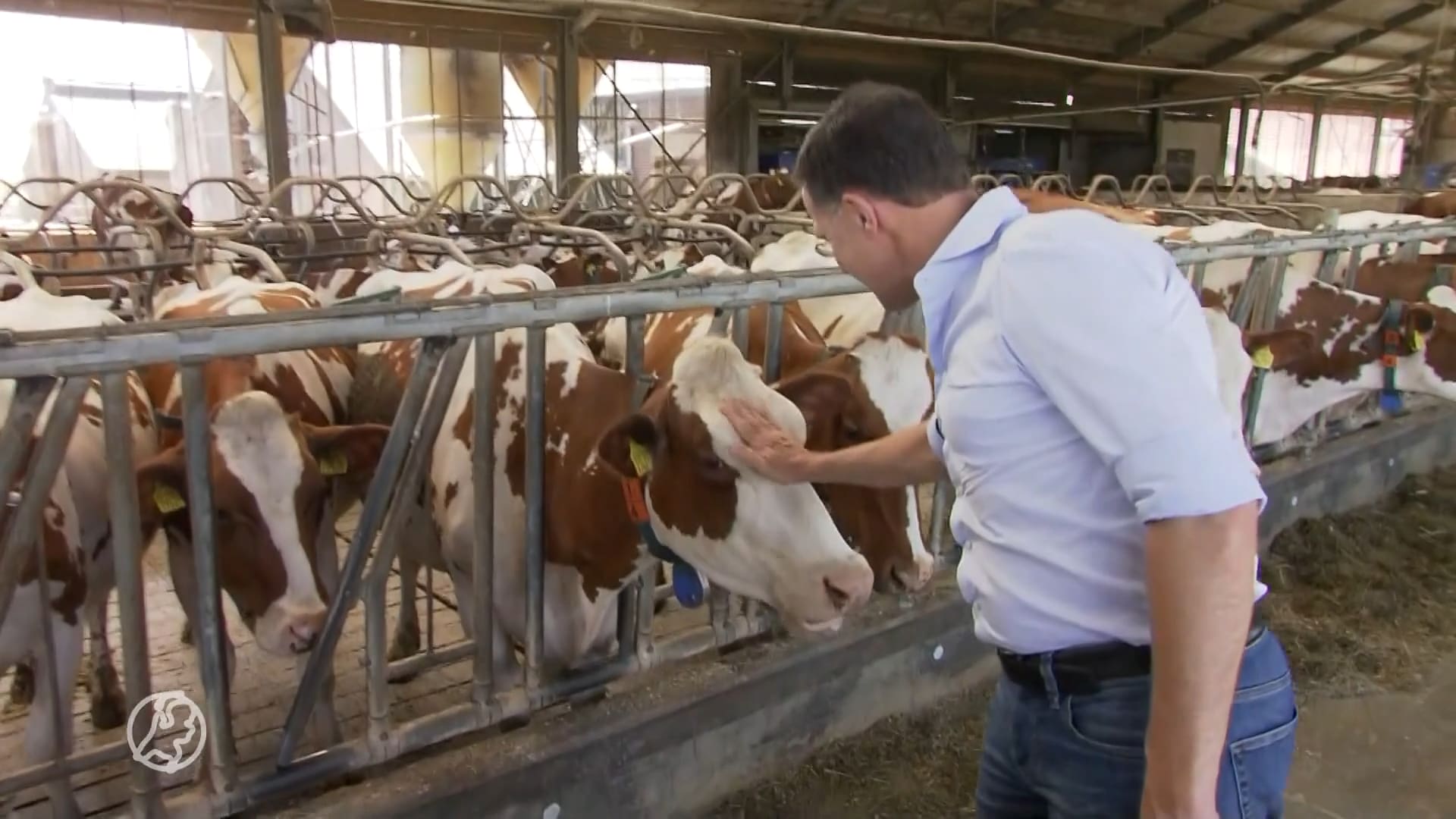 Rutte op bezoek bij Limburgse boeren