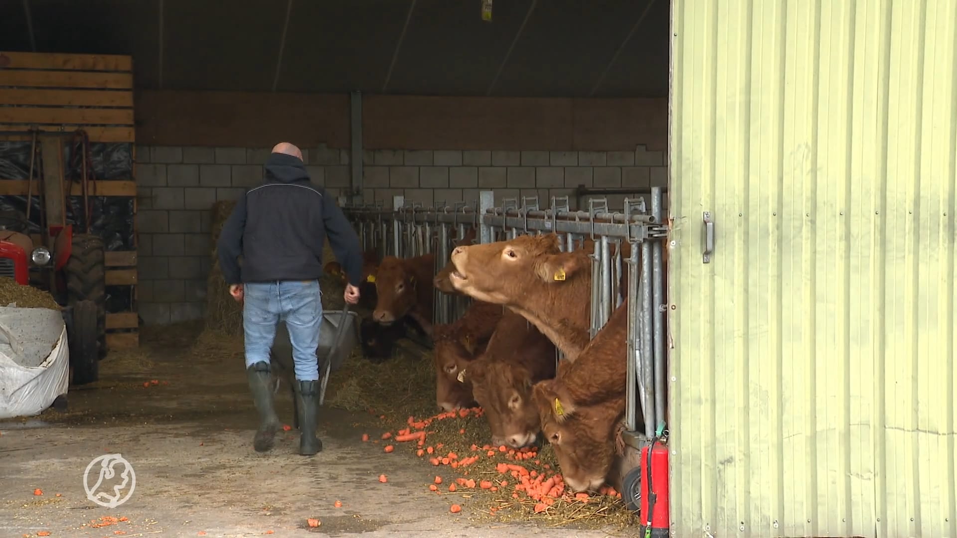 Veehouder Leon wil de eerste kweekvleesboer zijn