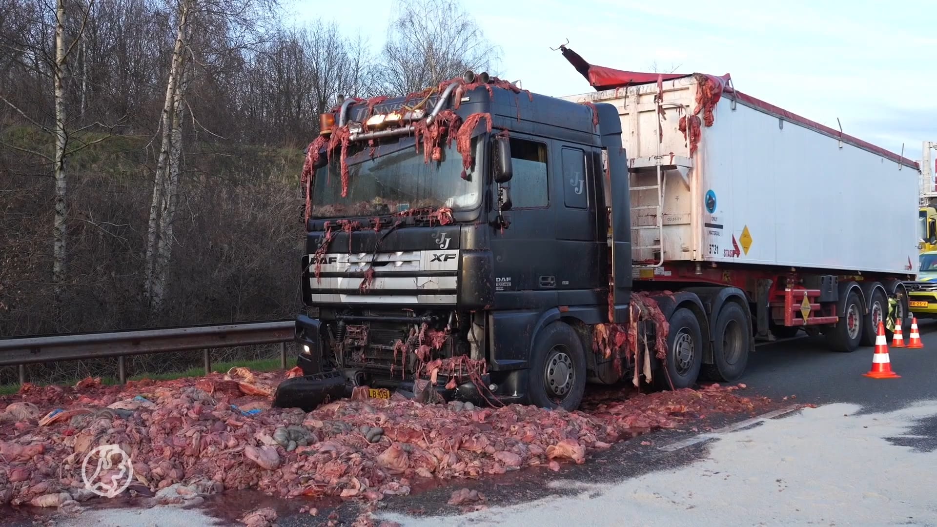 A67 bezaaid met ingewanden: vrachtwagen verliest 10.000 kilo slachtafval