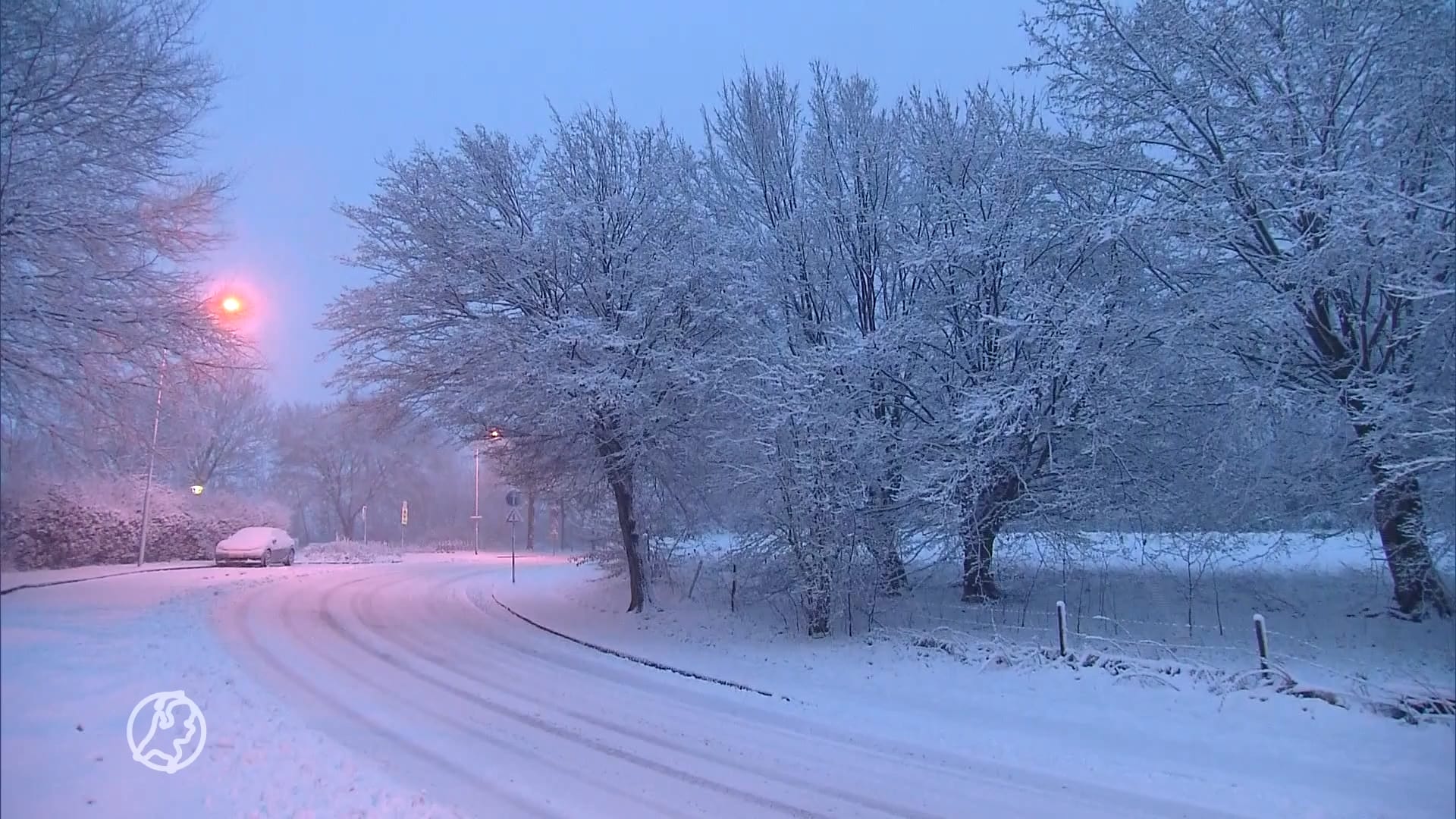 Winterse plaatjes: Limburg wordt wakker onder witte deken