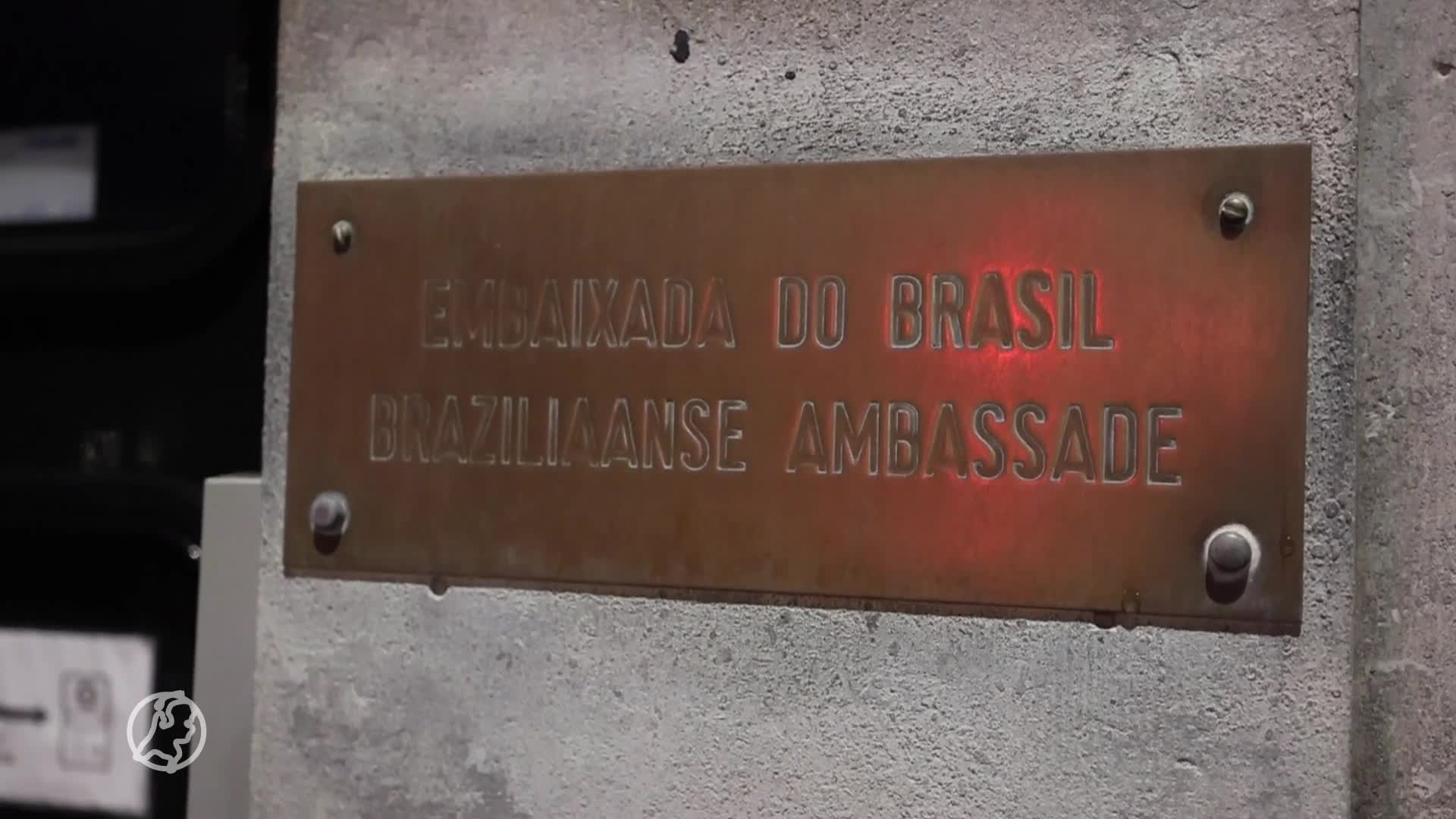 Dierenactivisten leggen dode biggen bij Braziliaanse ambassade in Den Haag: 'Voor uw maaltijd gestorven'