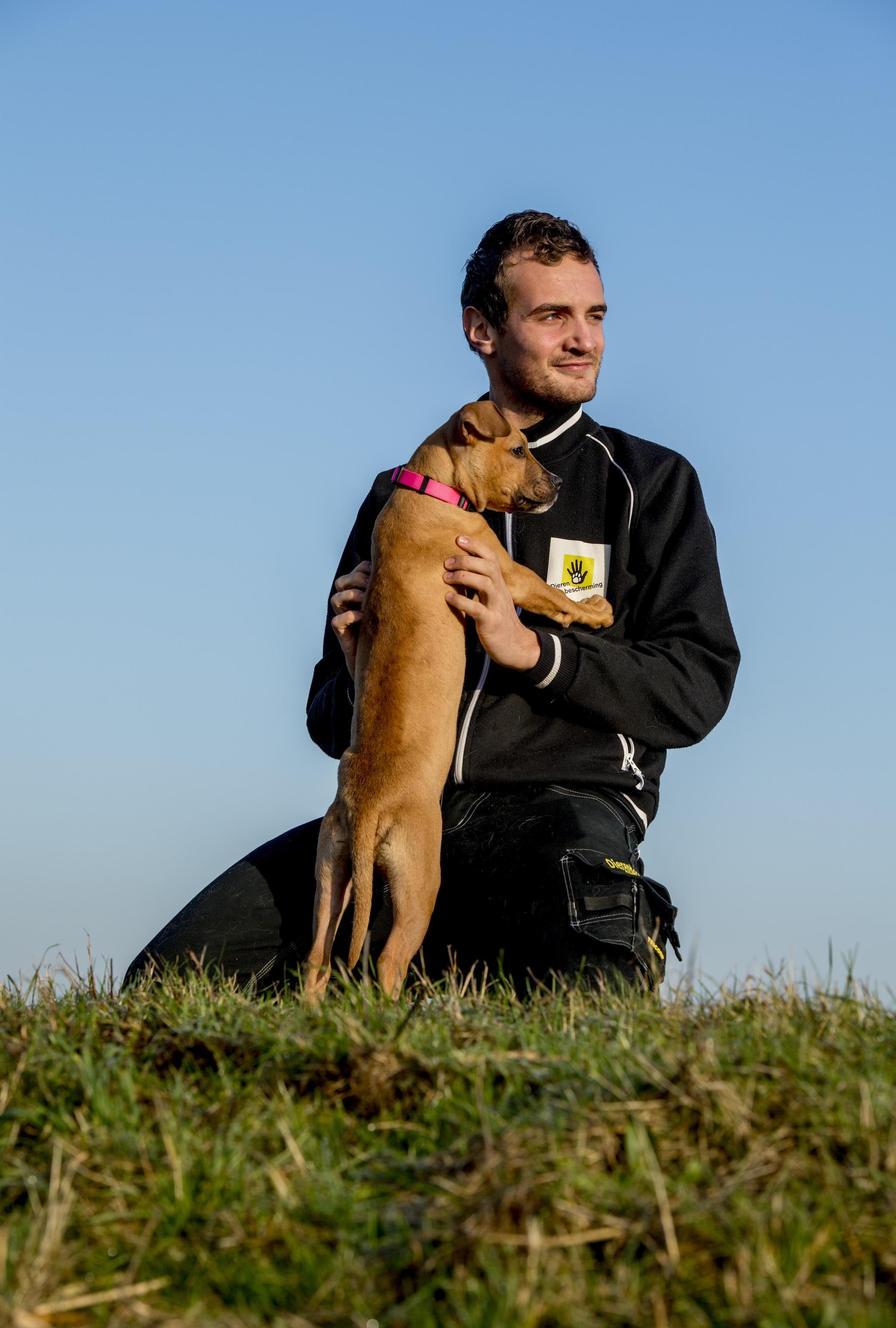Geef om dieren