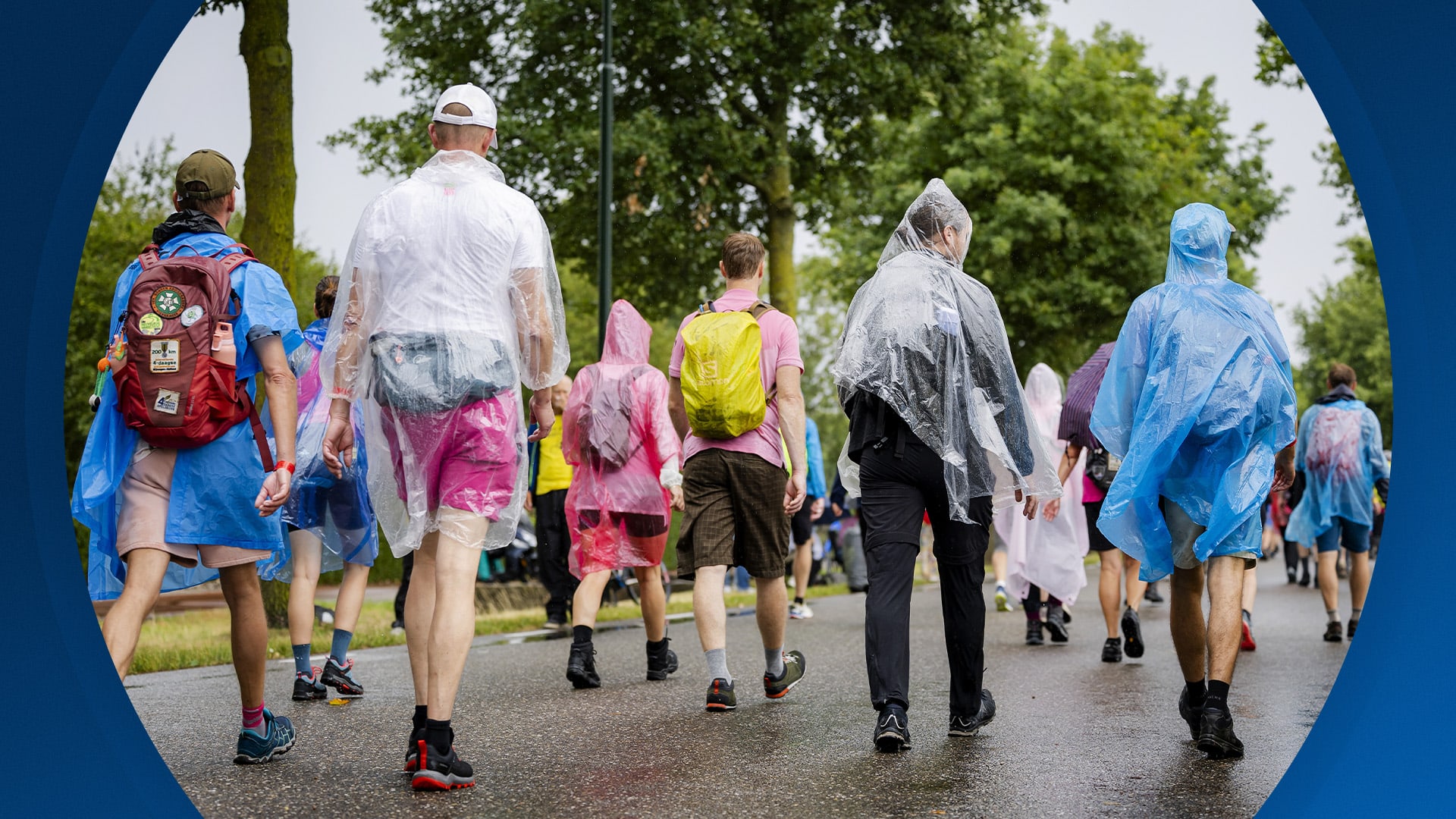 Seizoen 2025, aflevering 141