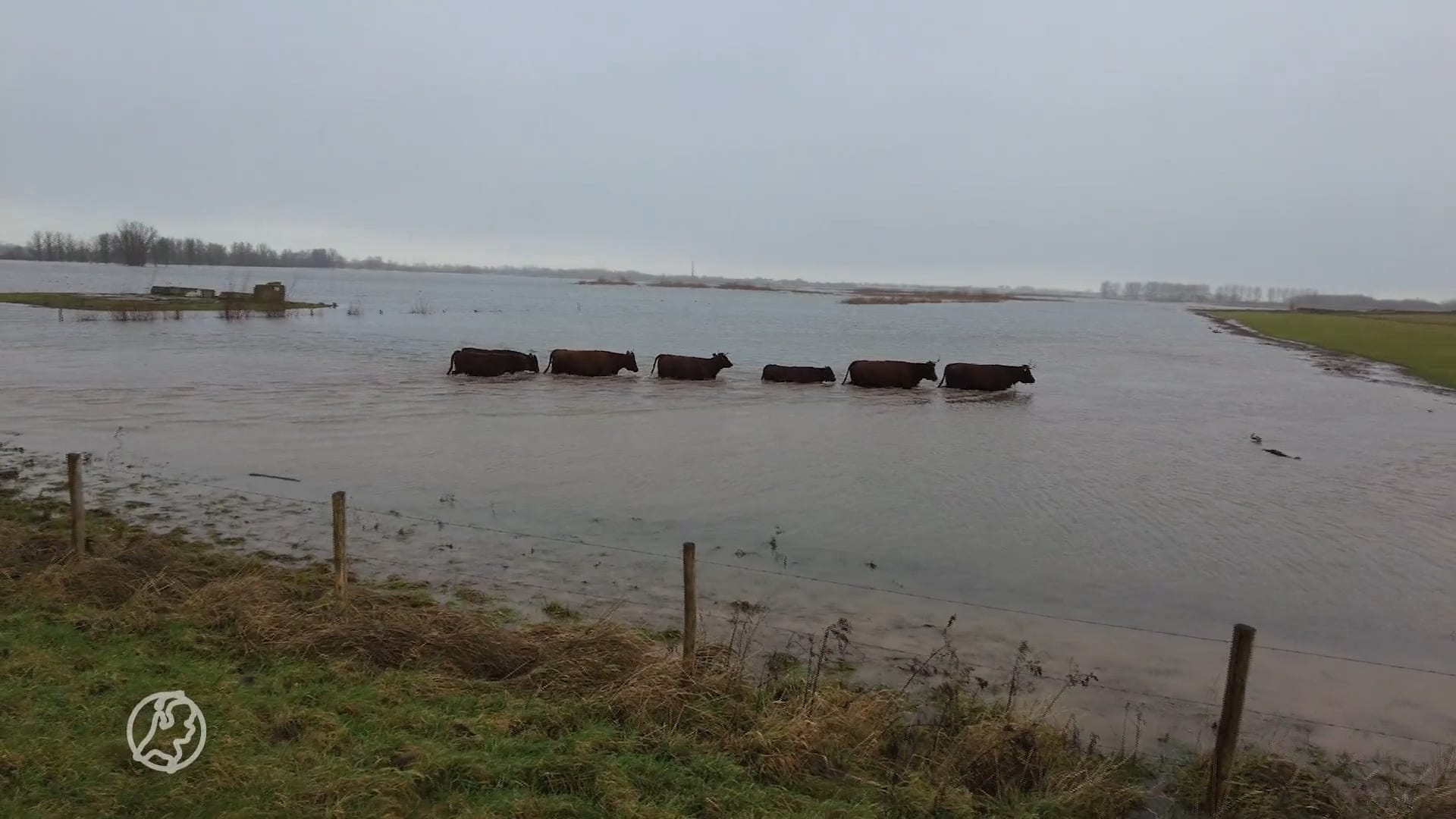 Helen's kerstavond viel letterlijk in het water: de grond is net een spons