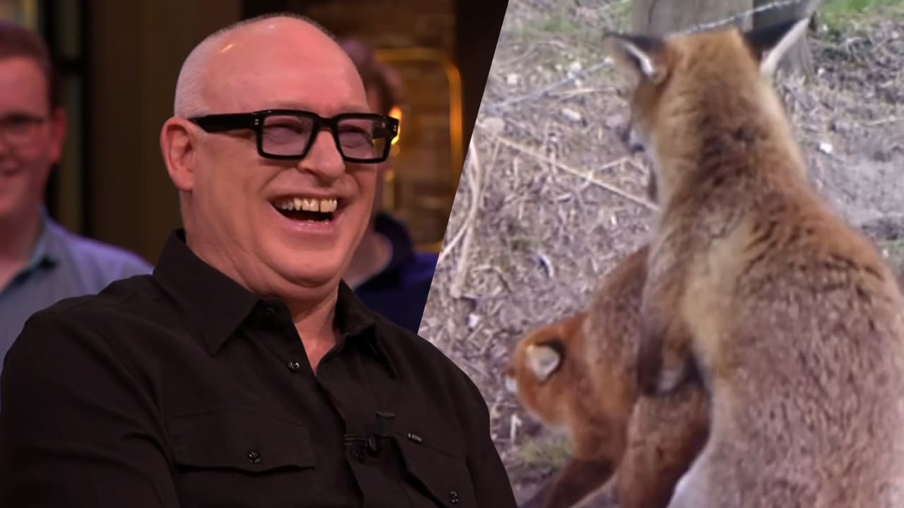 René ziet zichzelf terug als voice-over van natuurfilm: 'Voor de vos is het prijsschieten vandaag!'