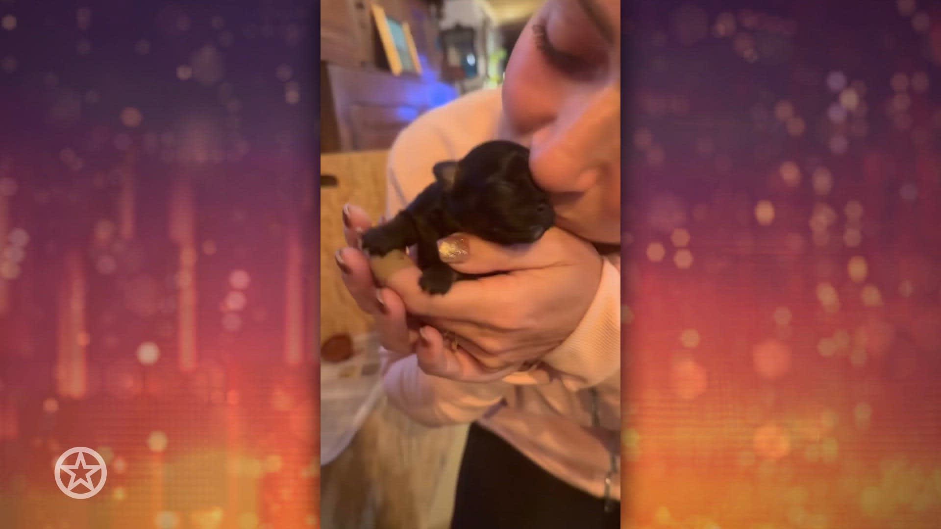 Samantha Steenwijk verwelkomt puppy