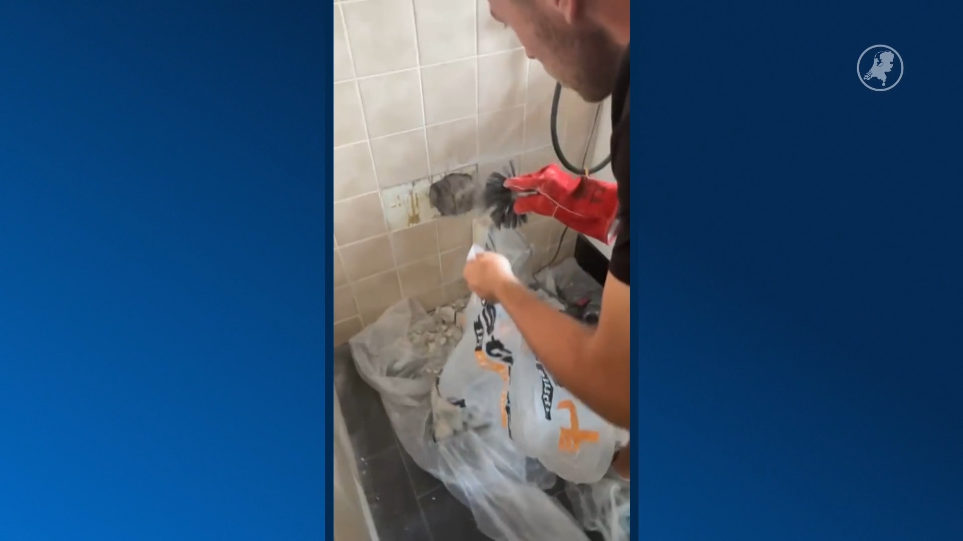 Duizenden maden in plafond leiden tot lugubere ontdekking