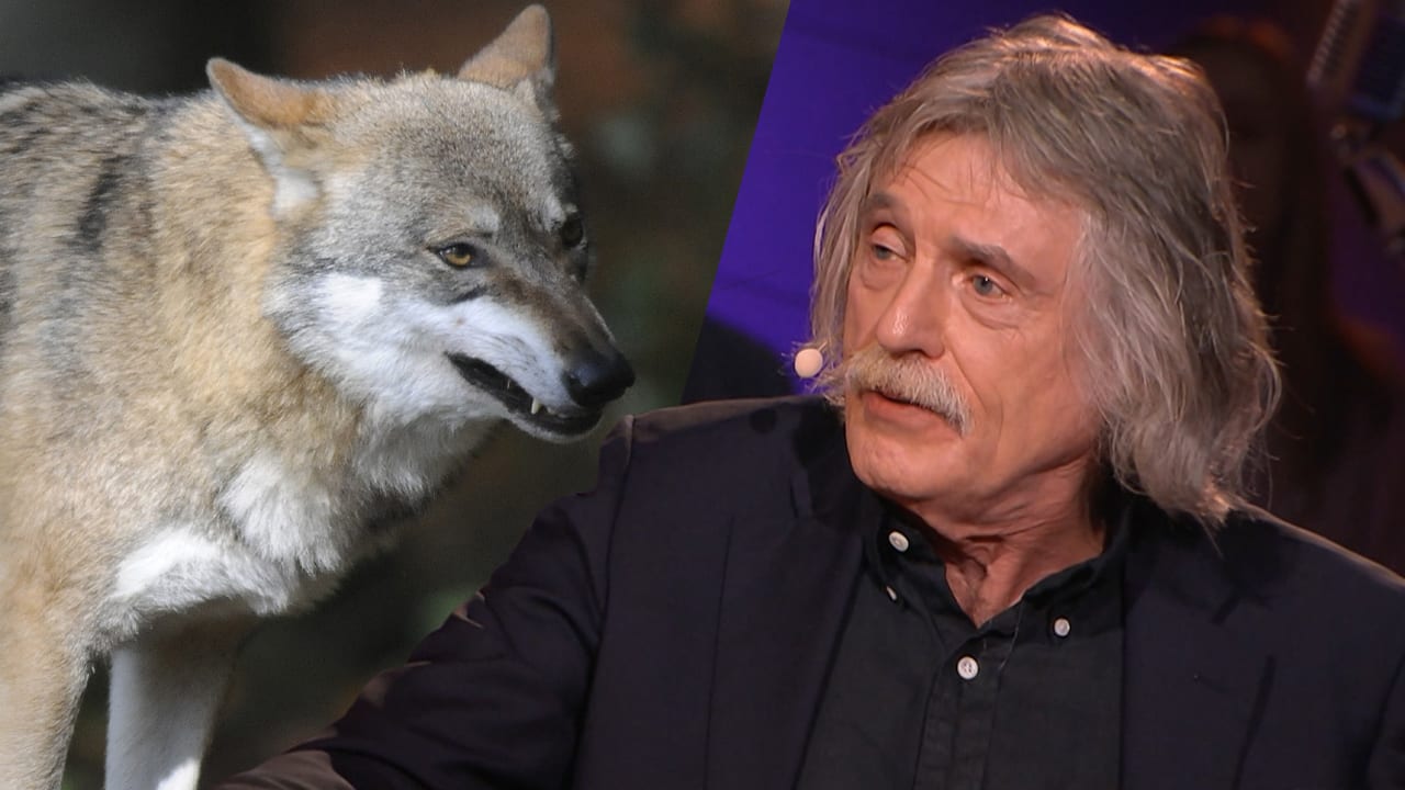 Johan krijgt luid applaus na vurig betoog over probleemwolven in de provincie