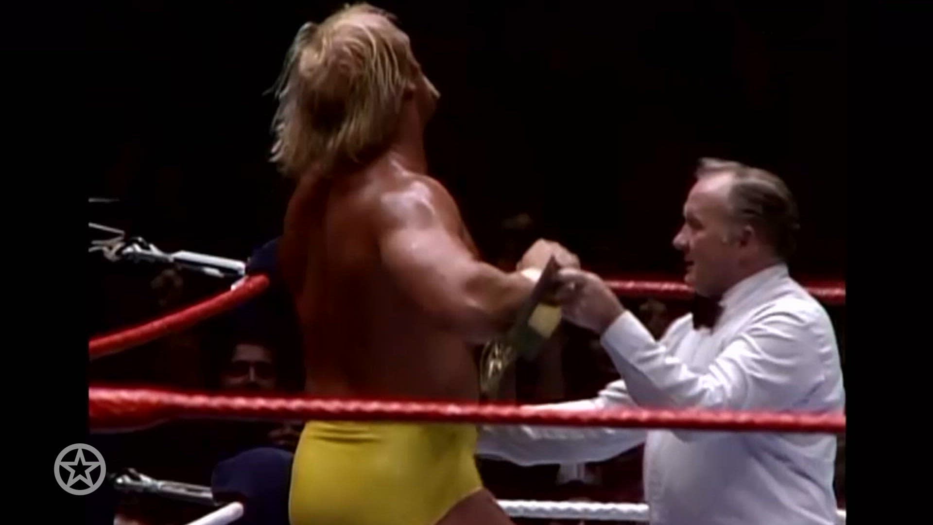 Schandalen rondom Hulk Hogan