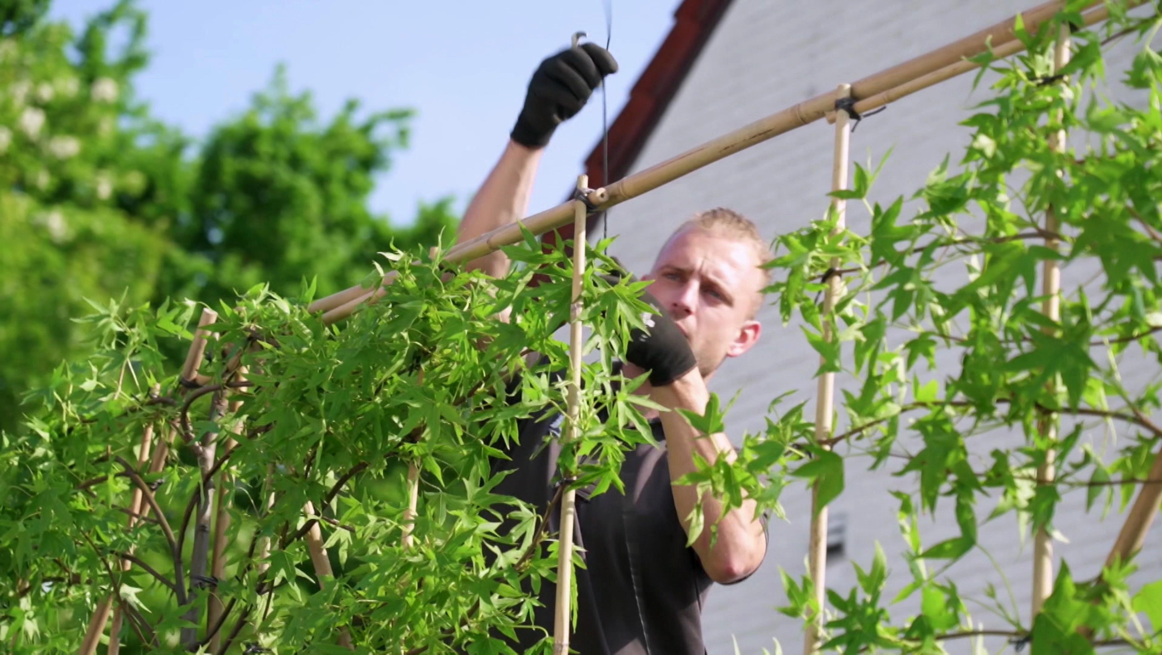 Seizoen 3, aflevering 52