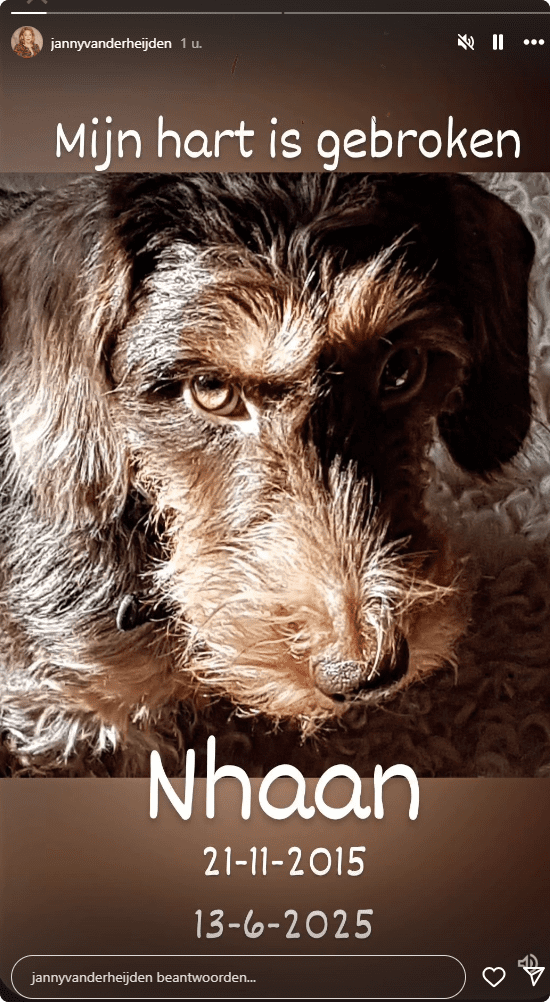 Bron: Instagram Janny van der Heijden