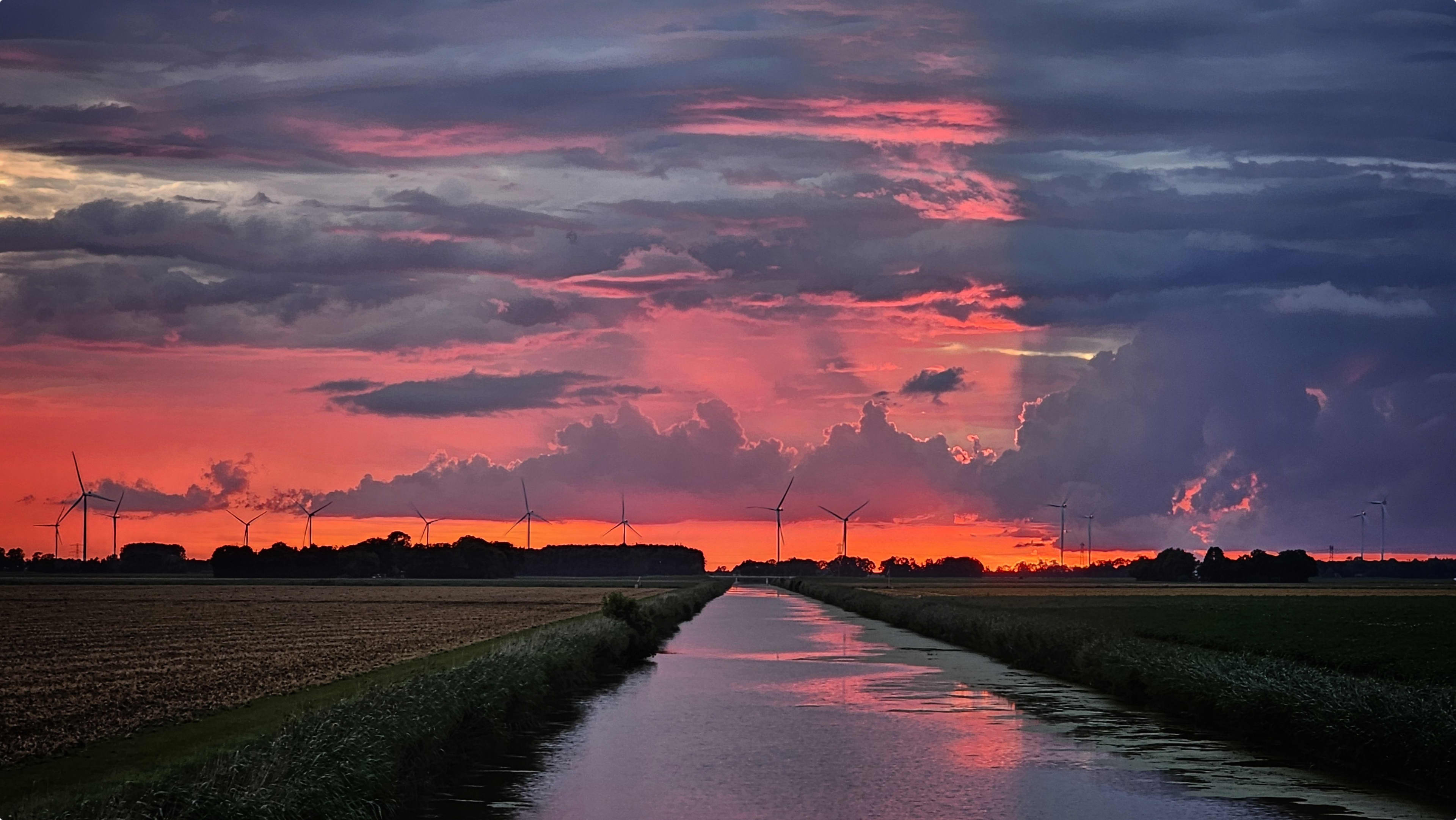 Roze kleuren in Dronten, beeld: Jannine Kroeze