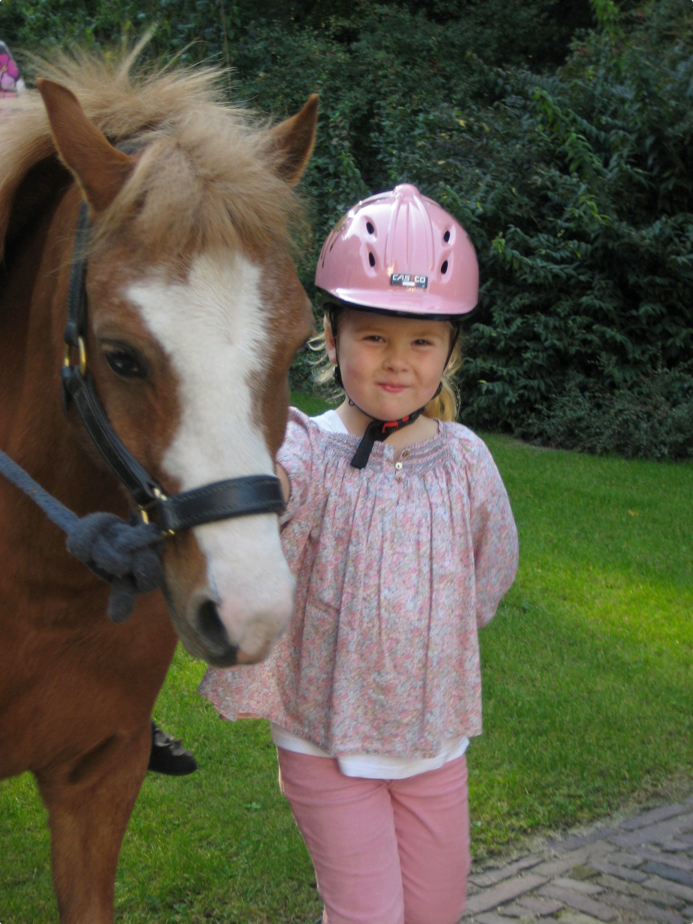Beeld: RvD