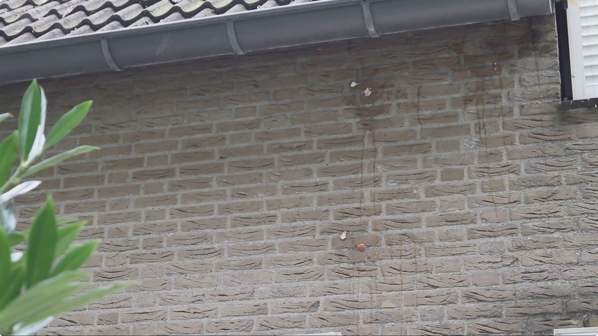 De woning van de verdachte is ook bekogeld met eieren. Beeld: Video Duivestein