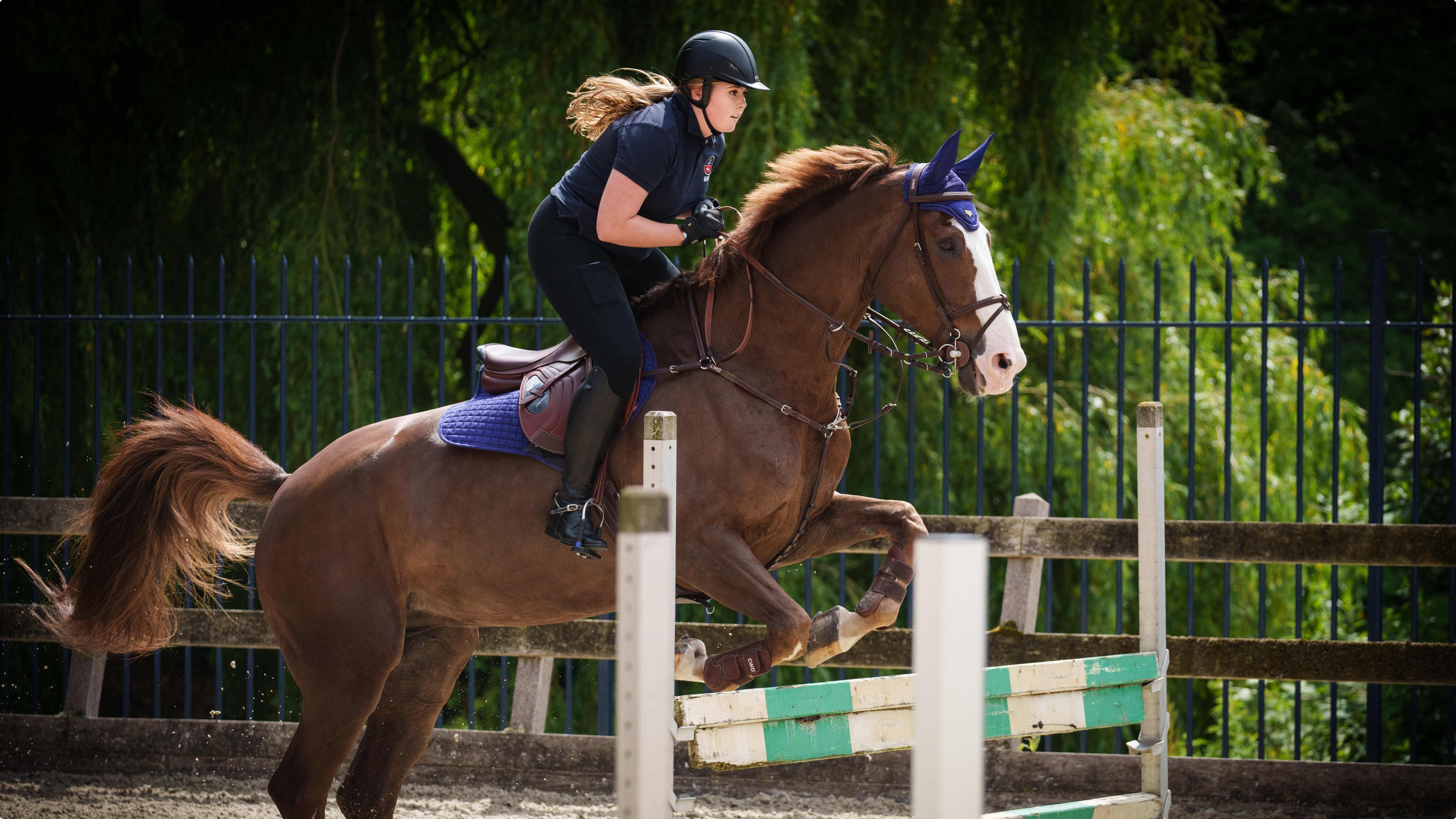 Beeld: RvD